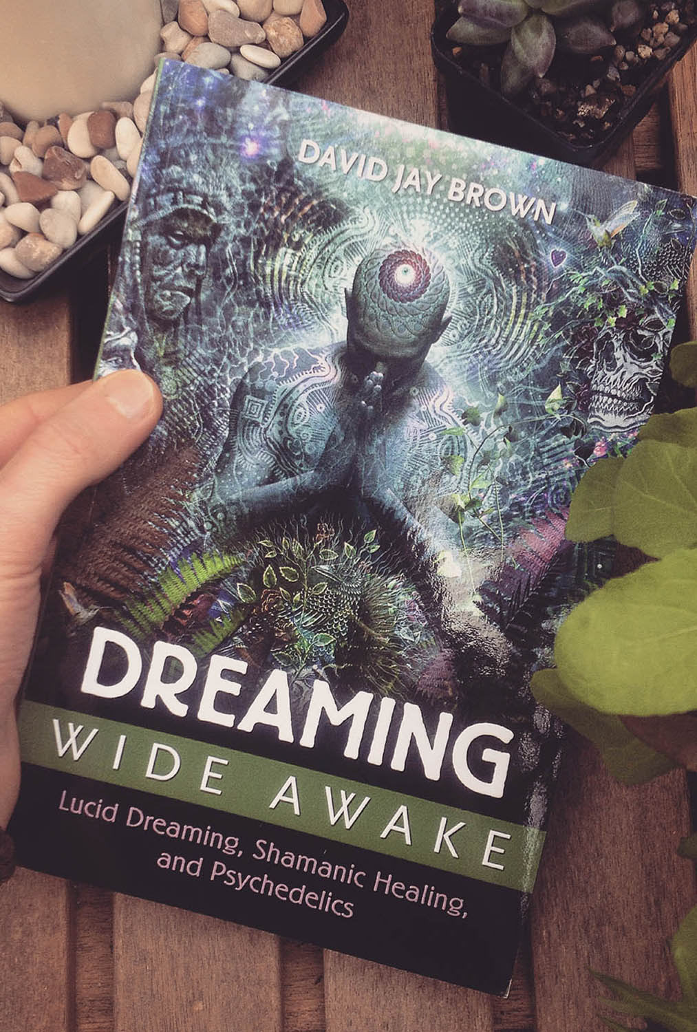 Dreaming Wide Awake - David Jay Brown