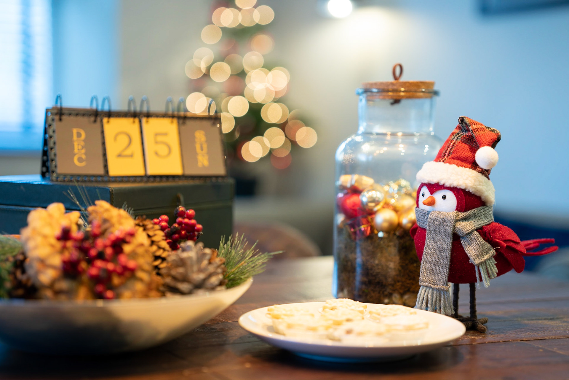 Warm, welcoming interiors styled for the festive season