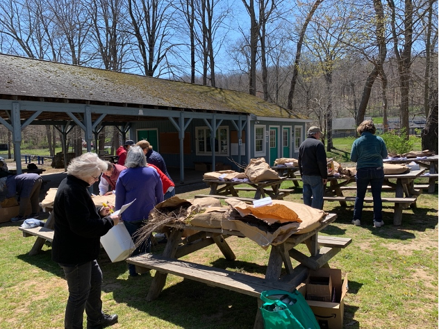 Preparing the trees