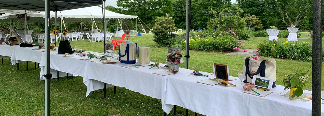 SIlent Auction organized by Timi Parsons