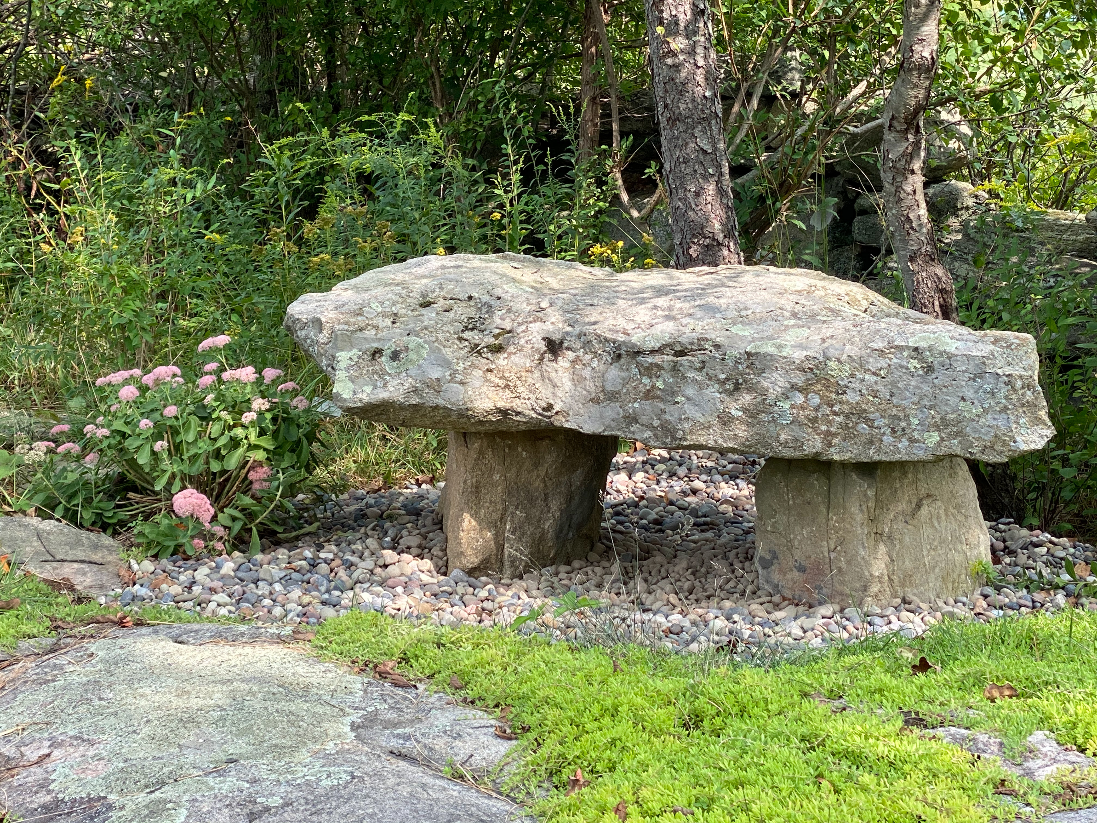 The Bench