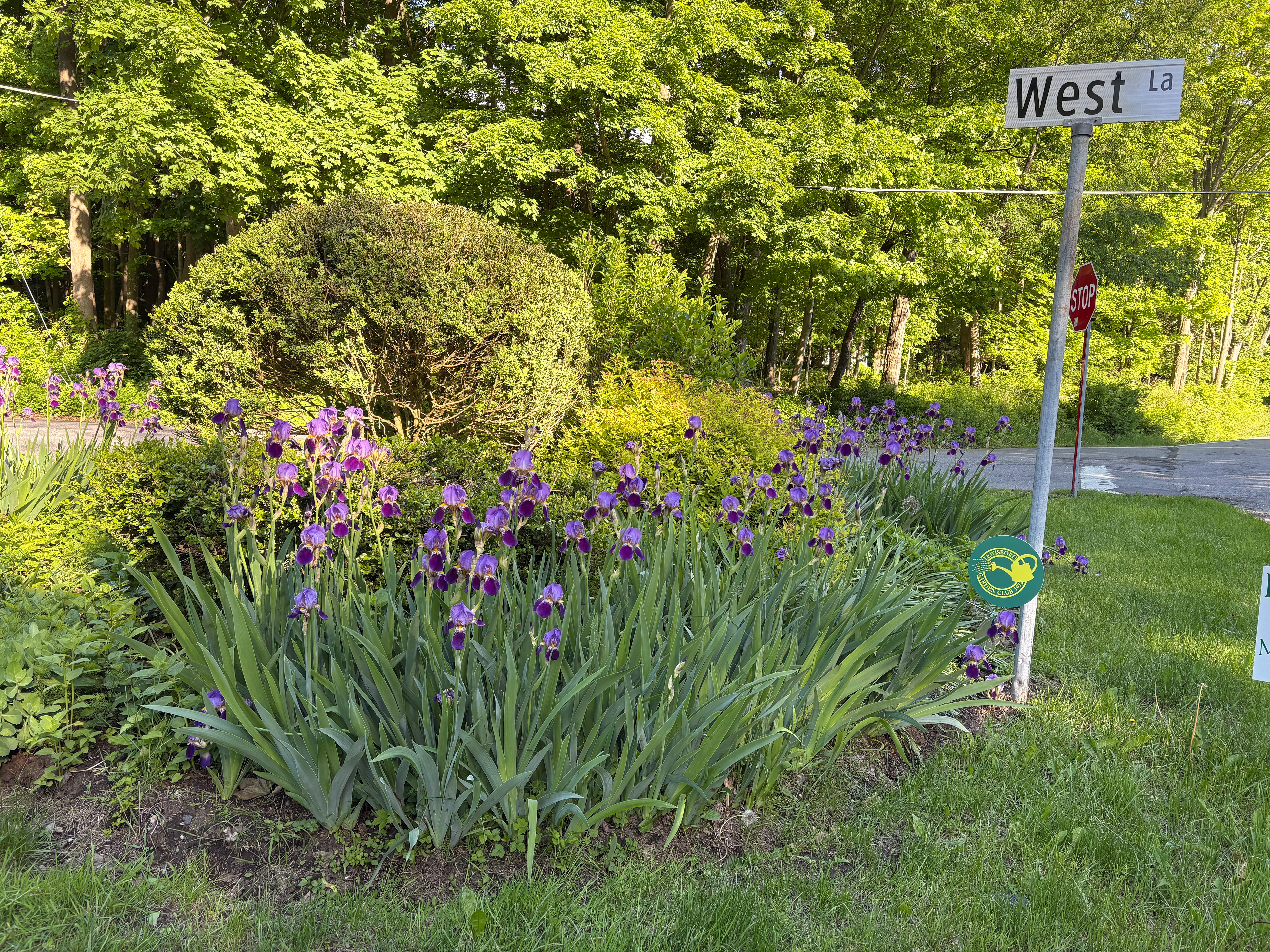 West Lane/NY-123