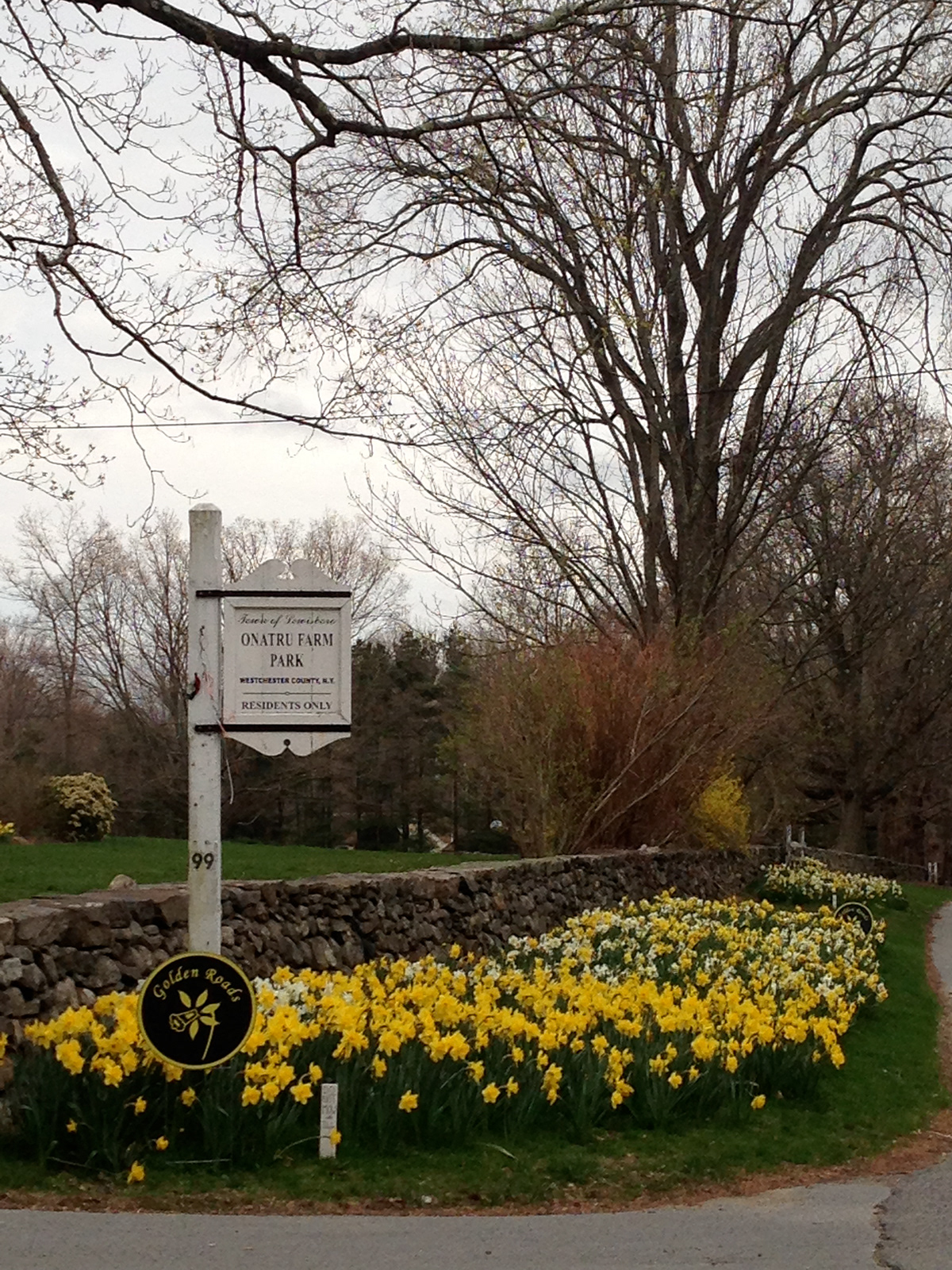 Lewisboro Garden Club