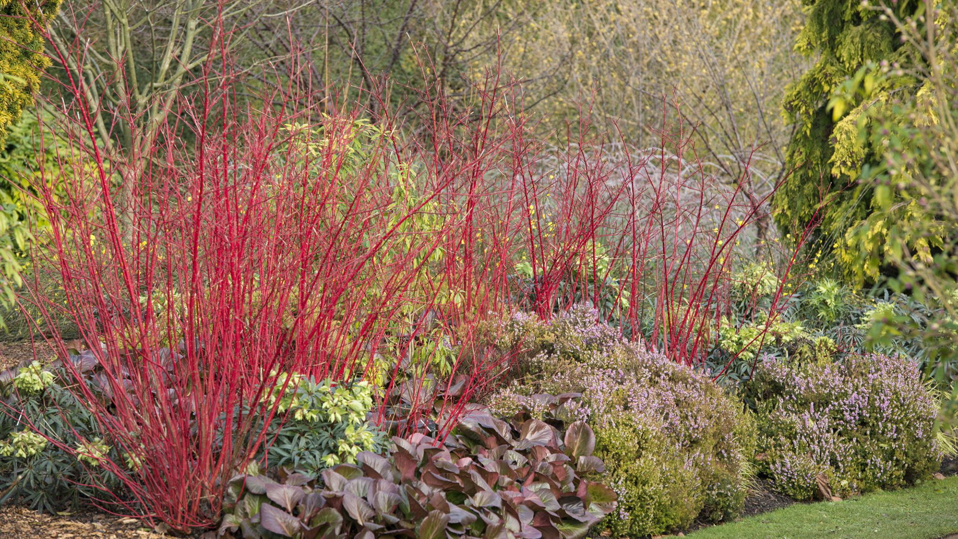 Cambridge Botanic Garden
