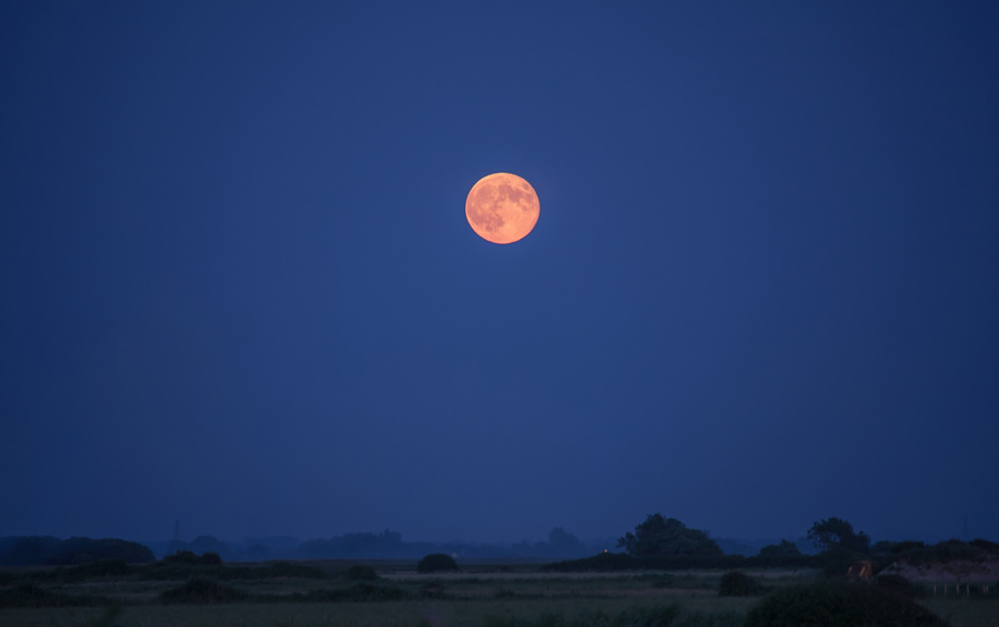 Blood Moon