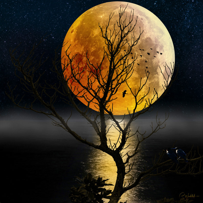 Supermoon 2022