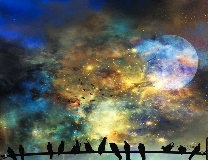 Birds on a wire - Star Gazing