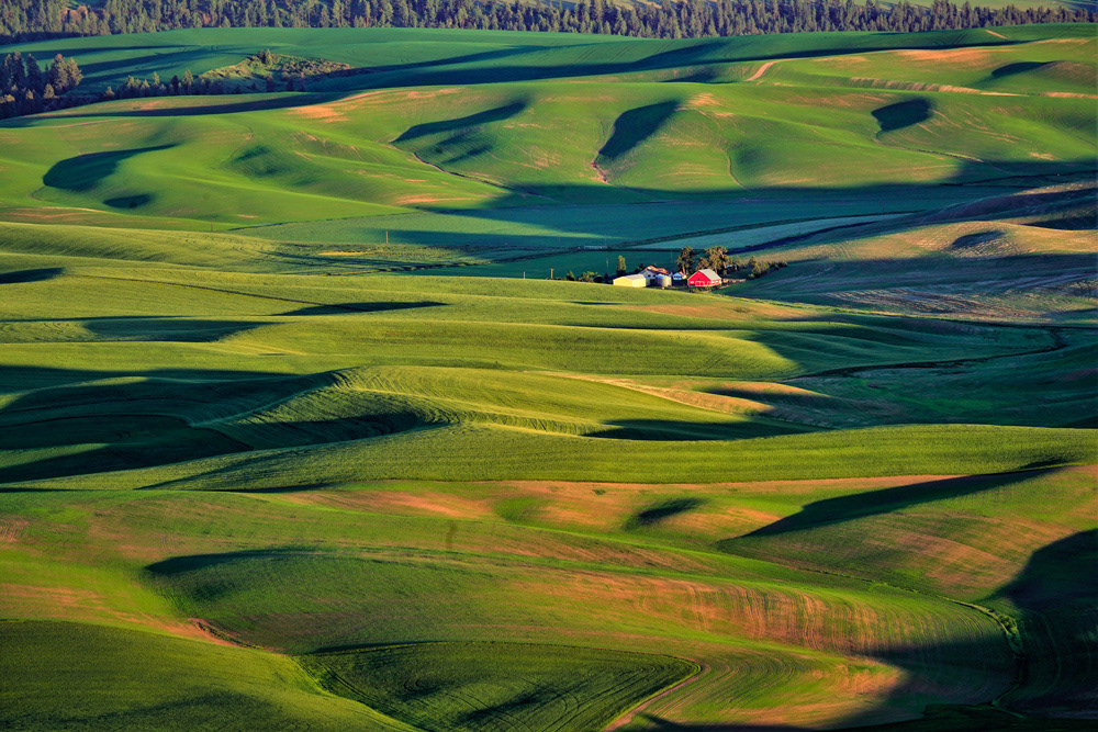 THE PALOUSE #3