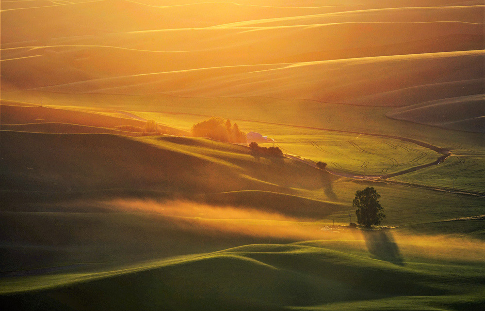 PALOUSE #2