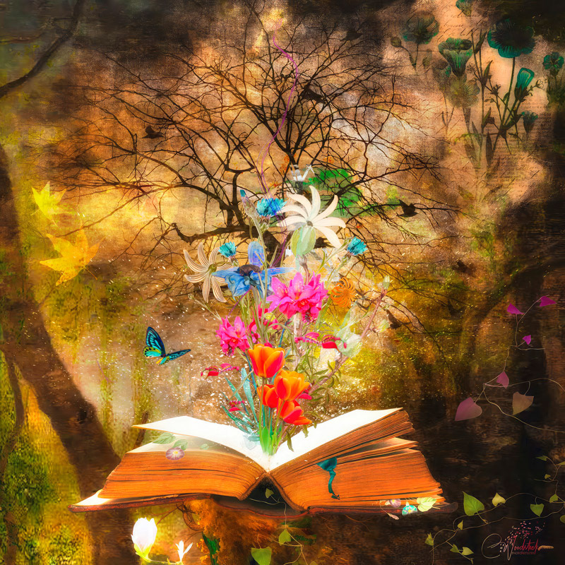 Book of Love