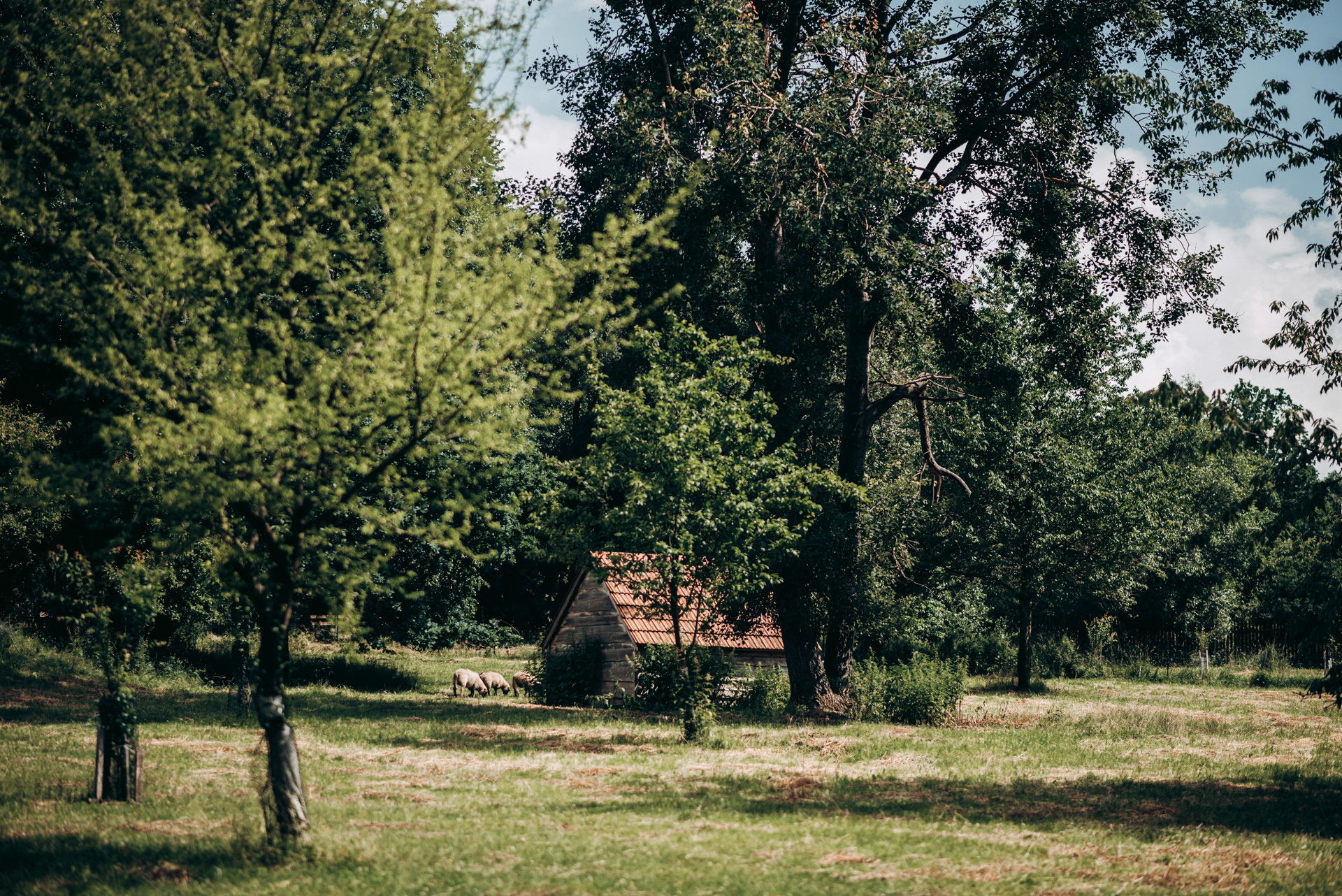 svatba Váňův statek, Dubovice