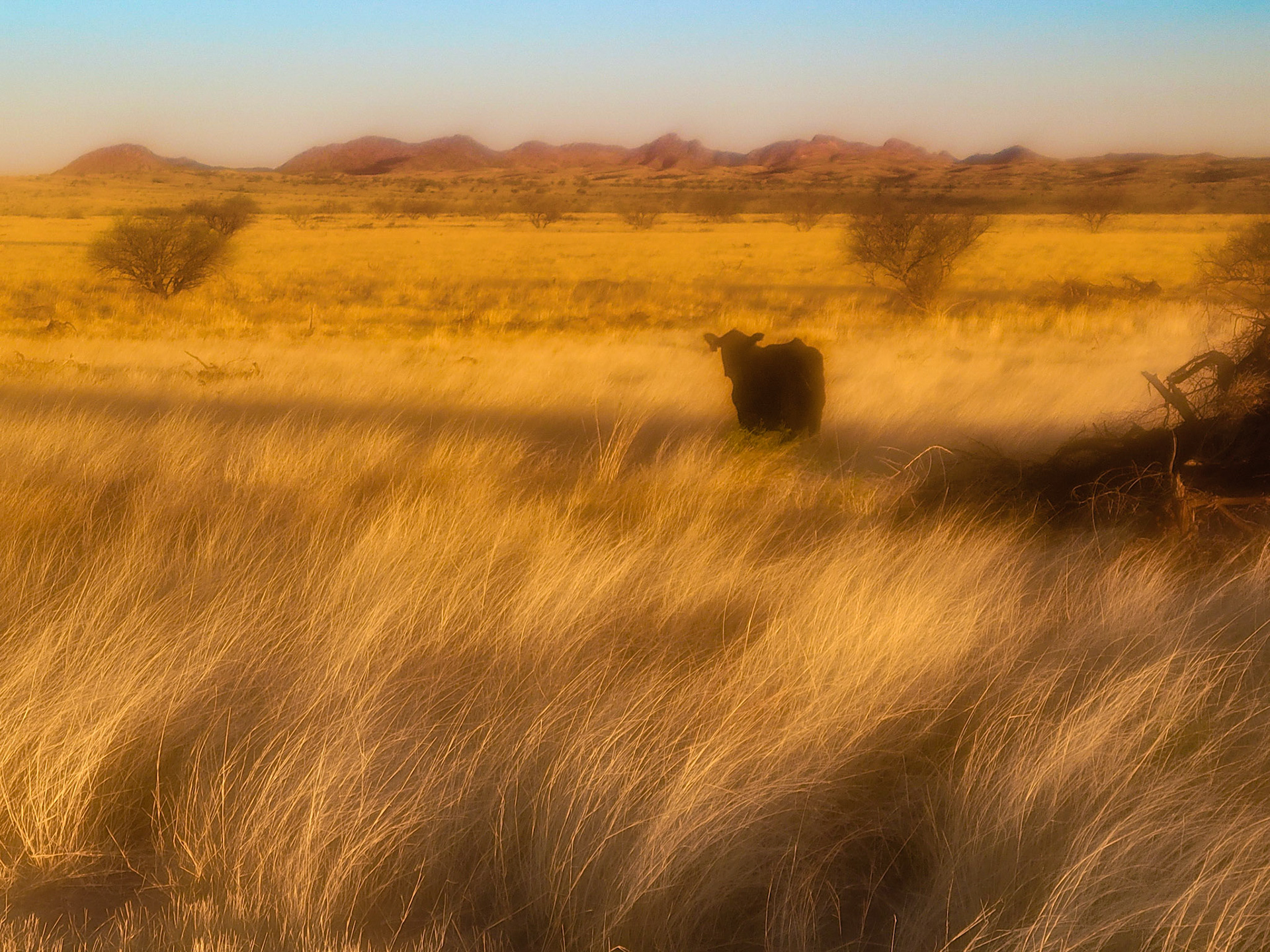Arizona, USA