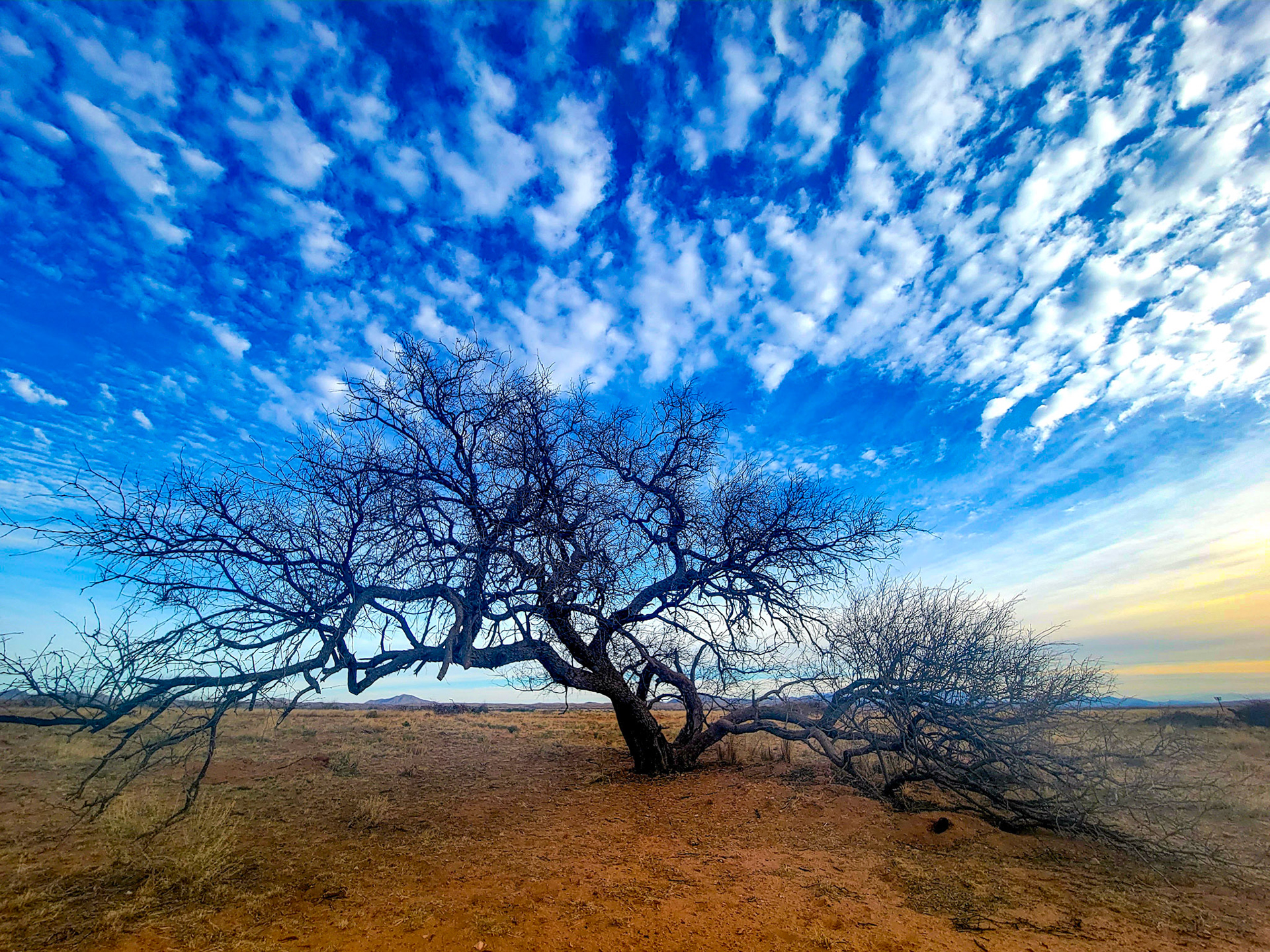 Arizona, USA