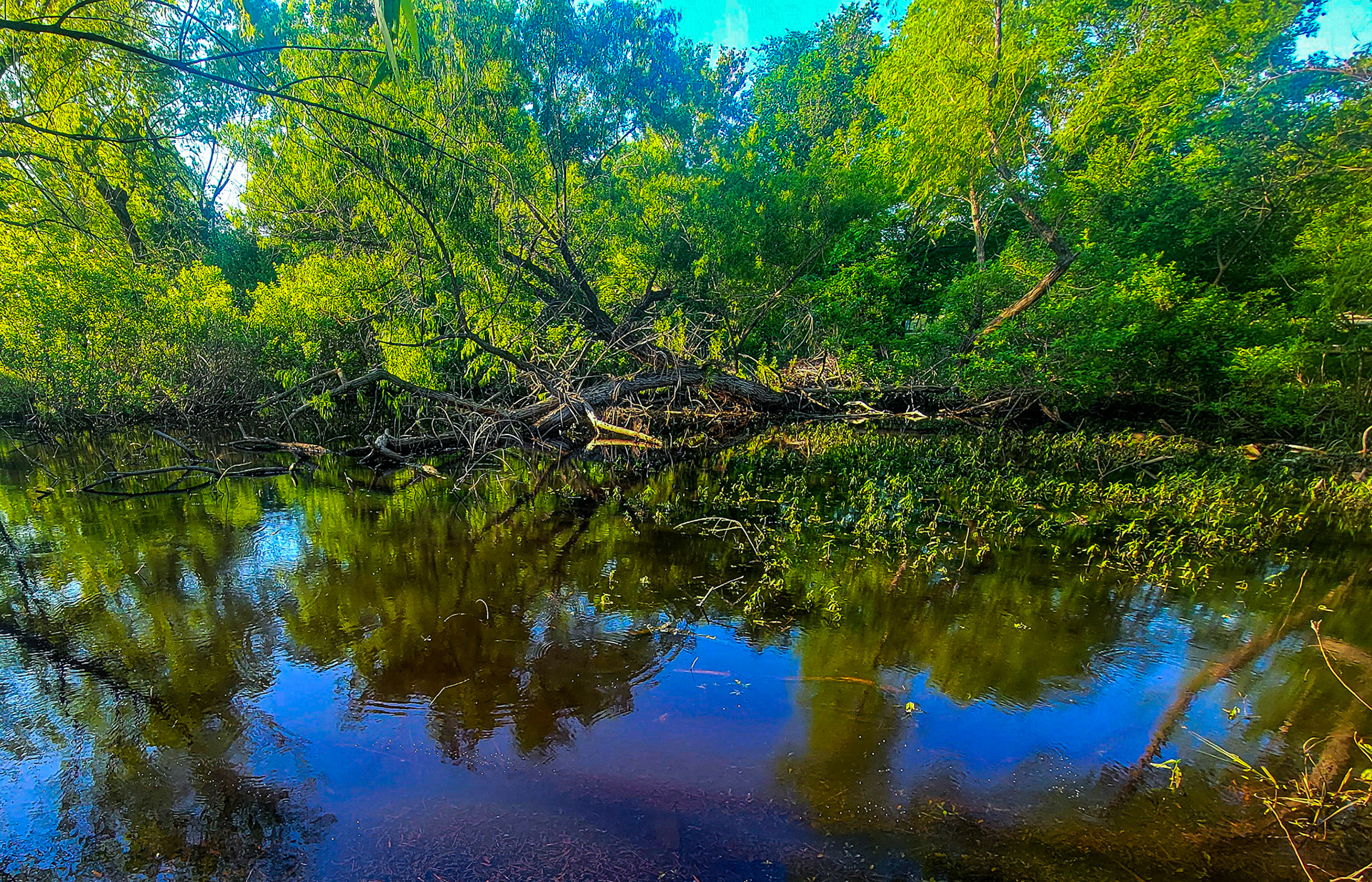 Mississippi, USA