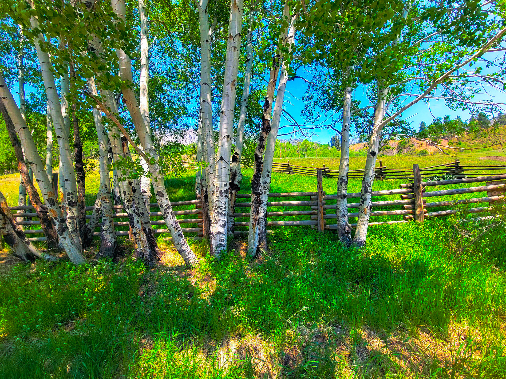 Colorado, USA