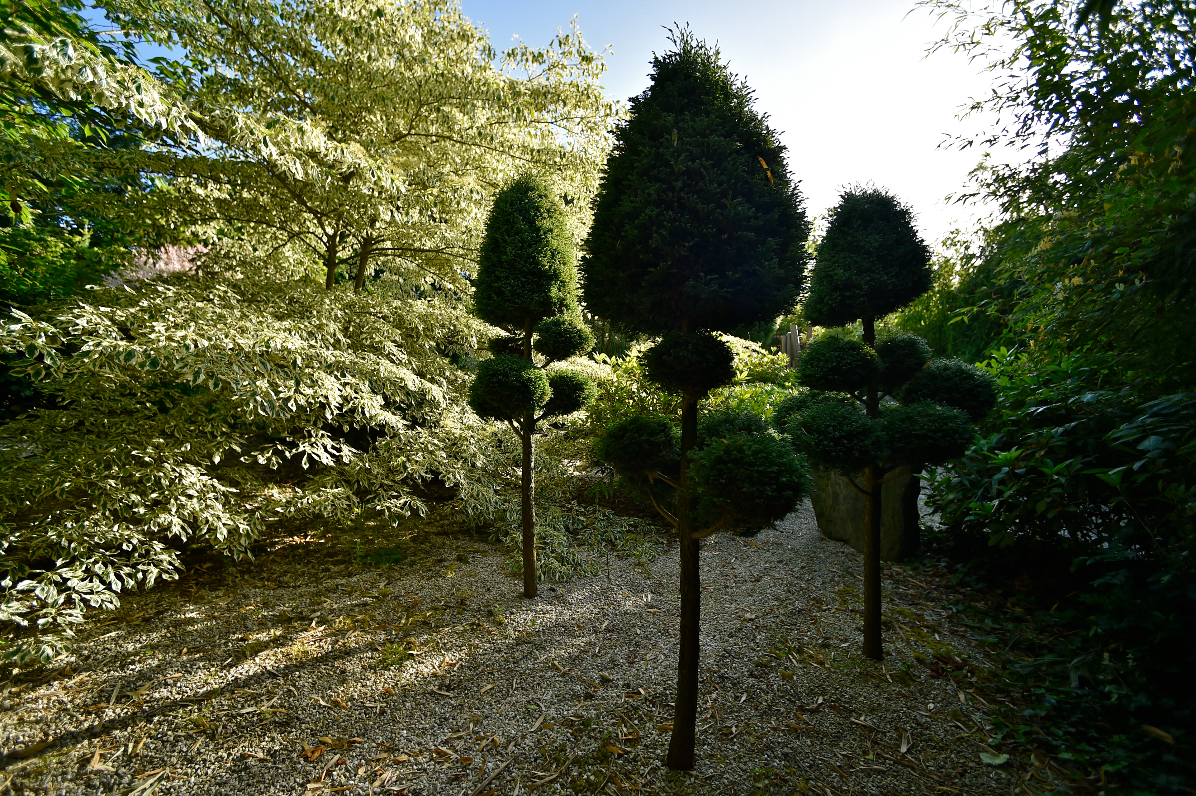 Domaine Albizia - Calvados