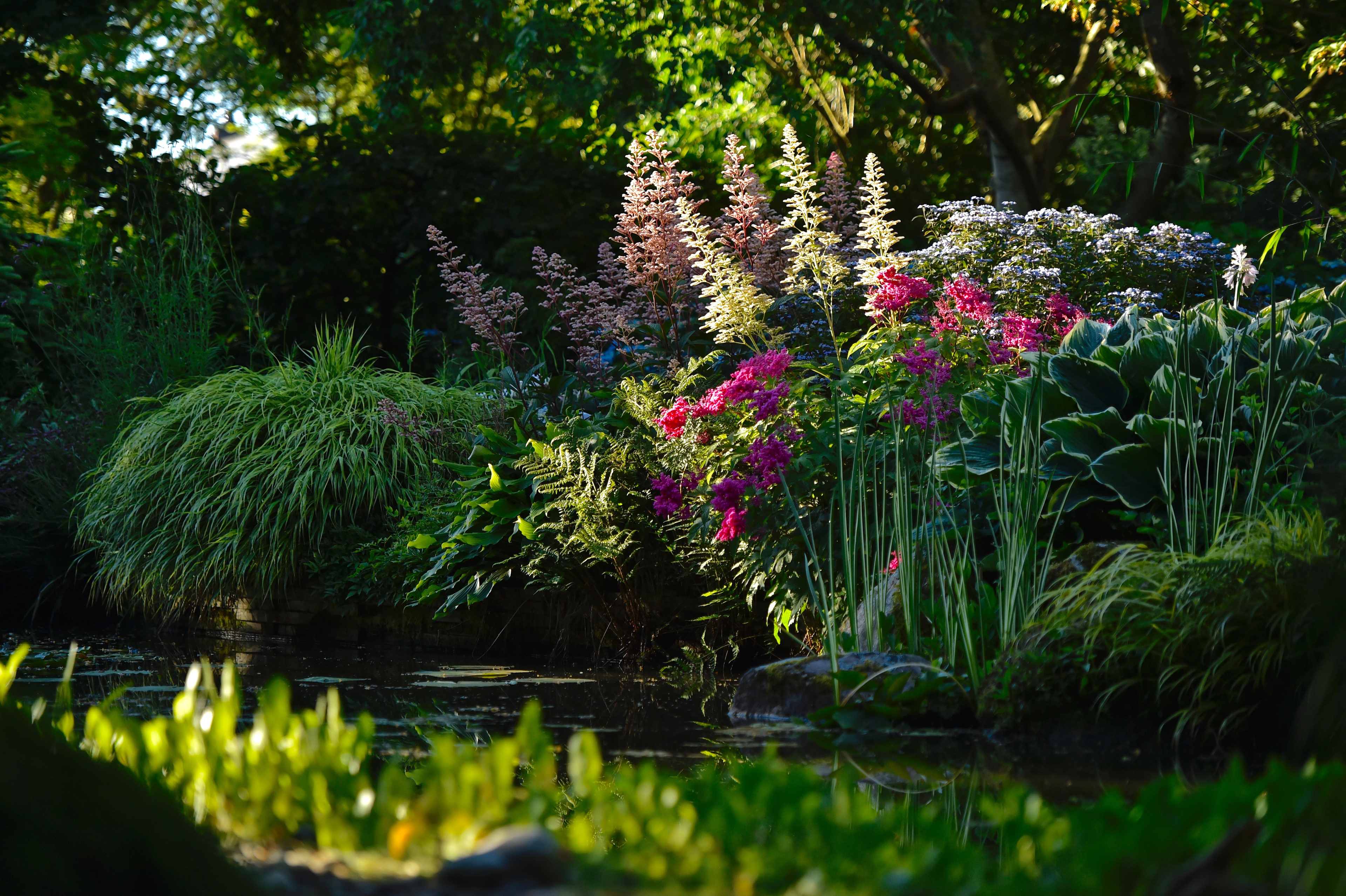 Jardin de  Valérianes - Seine-Maritime