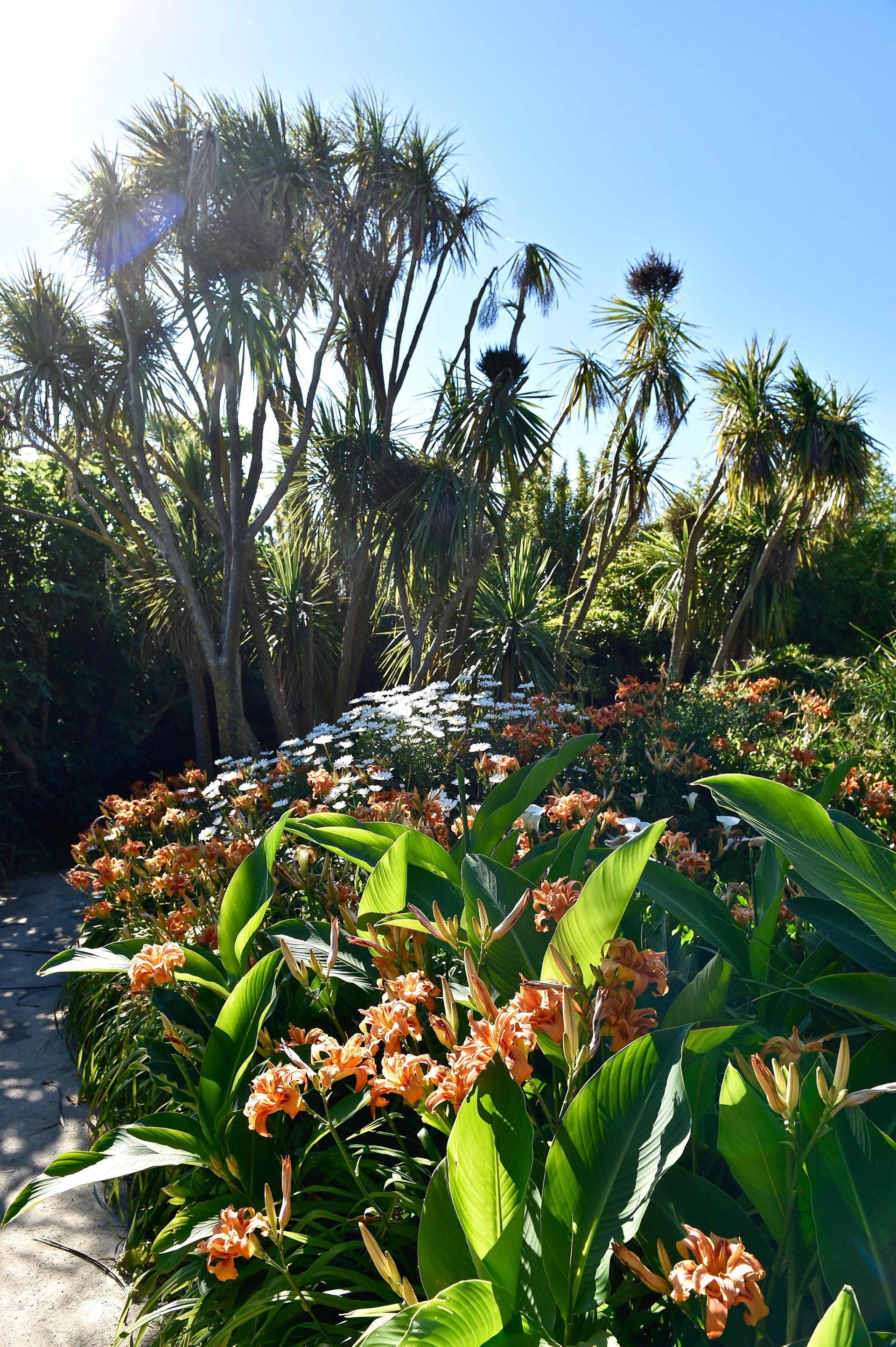 Jardin botanique de Vauville - Manche