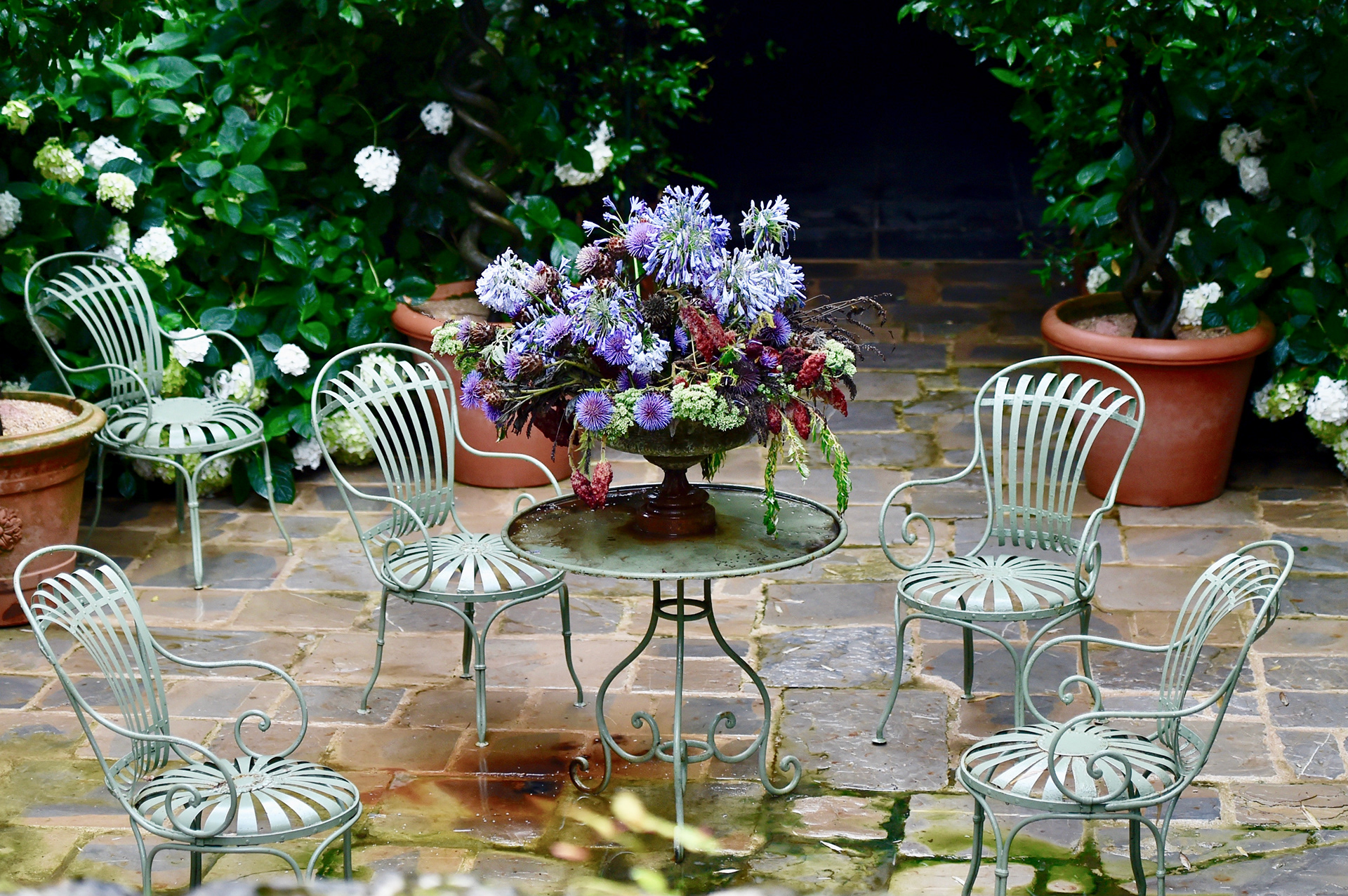Jardin Agapanthe - Seine-Maritime