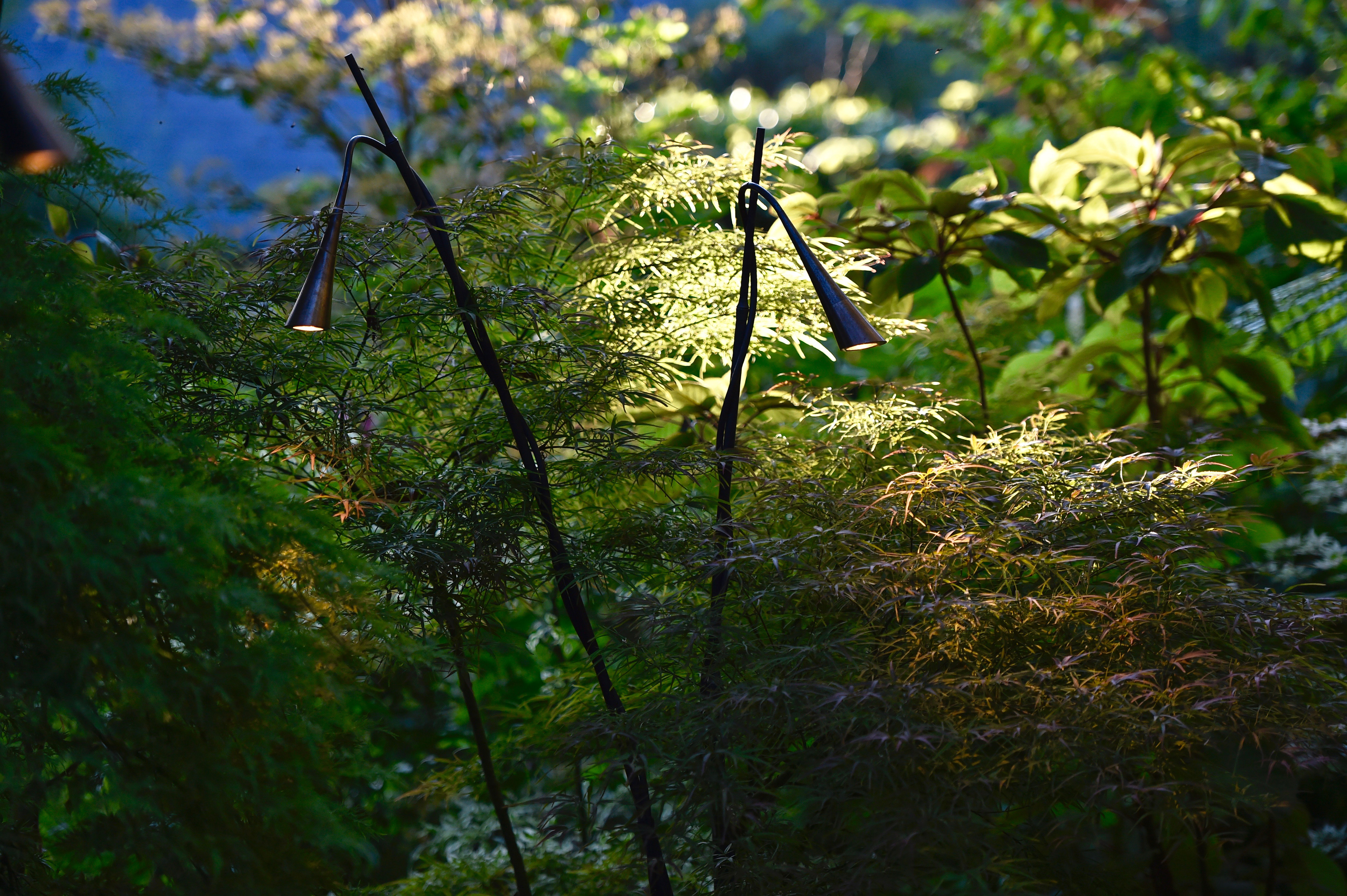 Jardin Agapanthe - Seine-Maritime