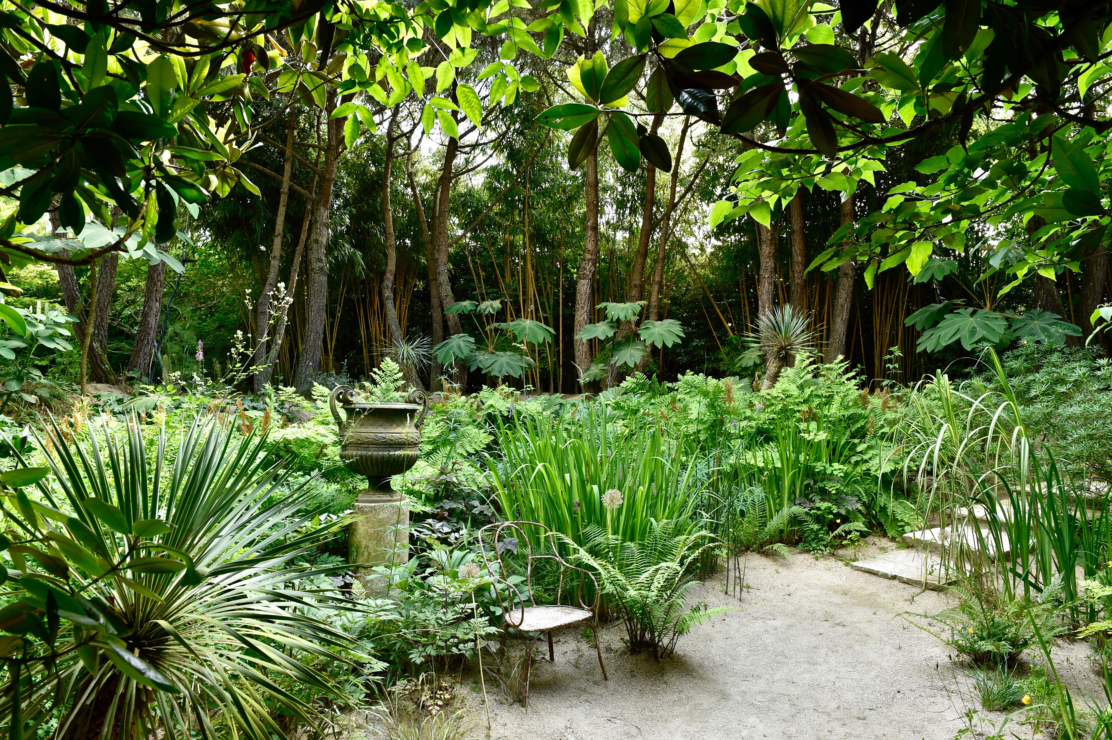 Jardin Agapanthe - Seine-Maritime