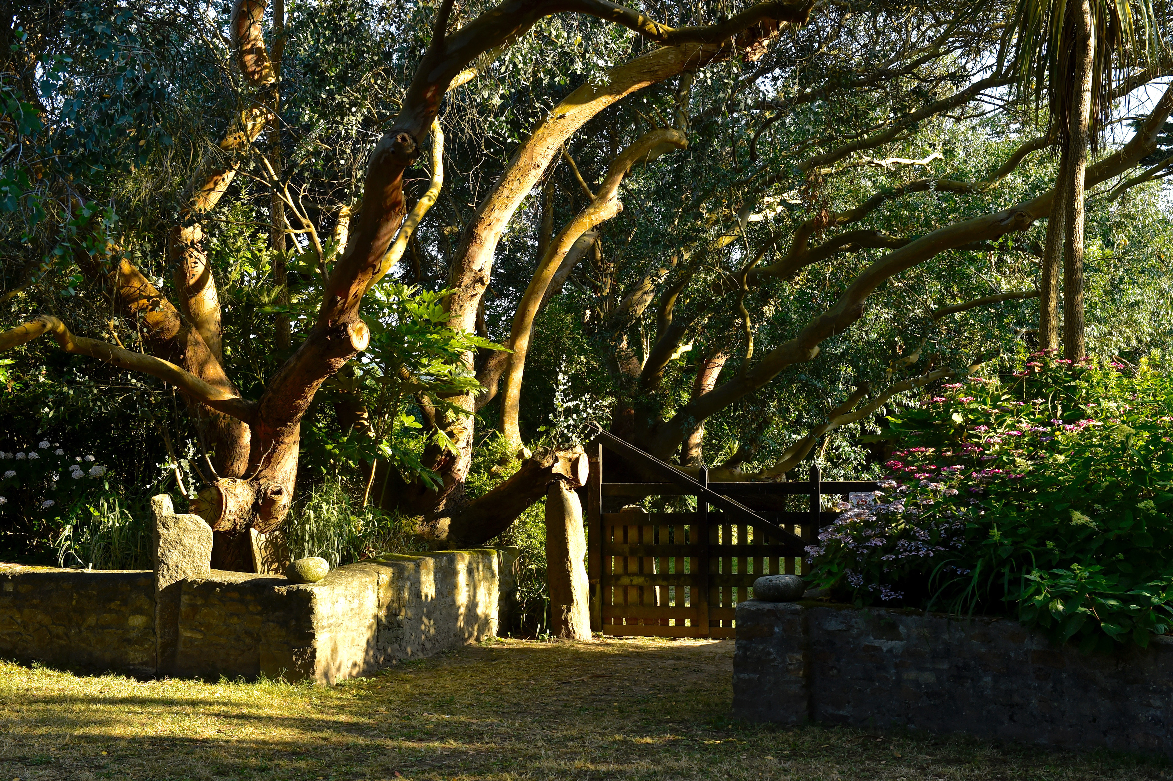 Jardin botanique de Vauville - Manche