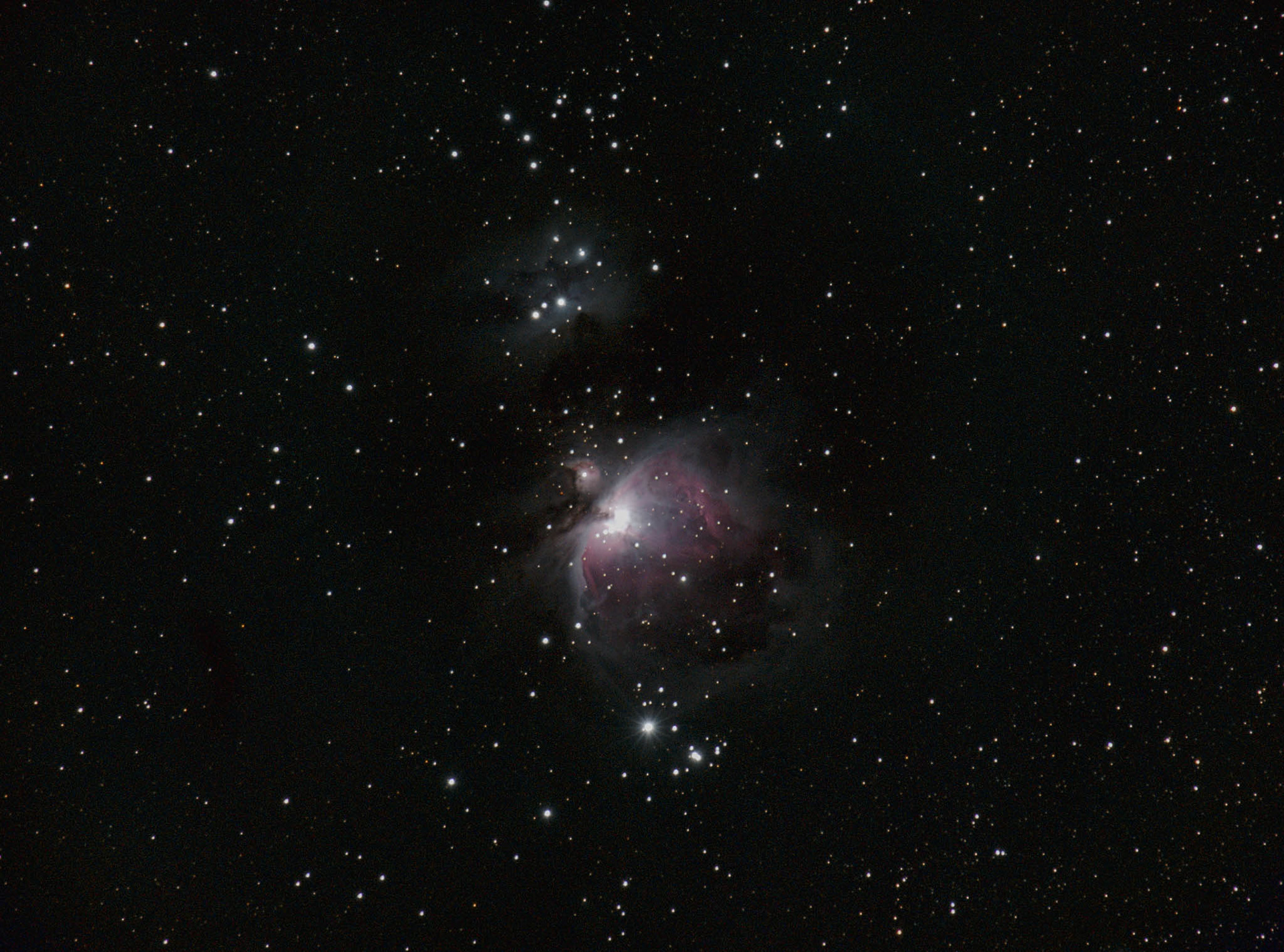 Orion Nebula