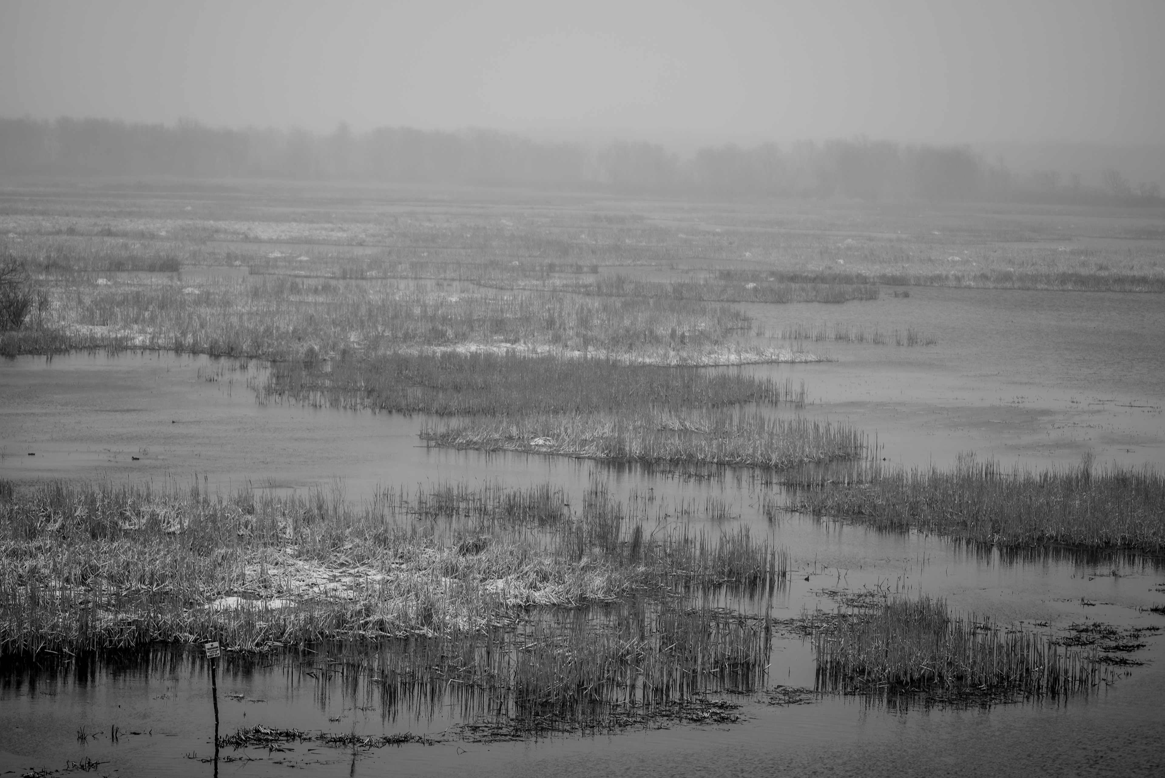 Man vs. Nature: Restoration