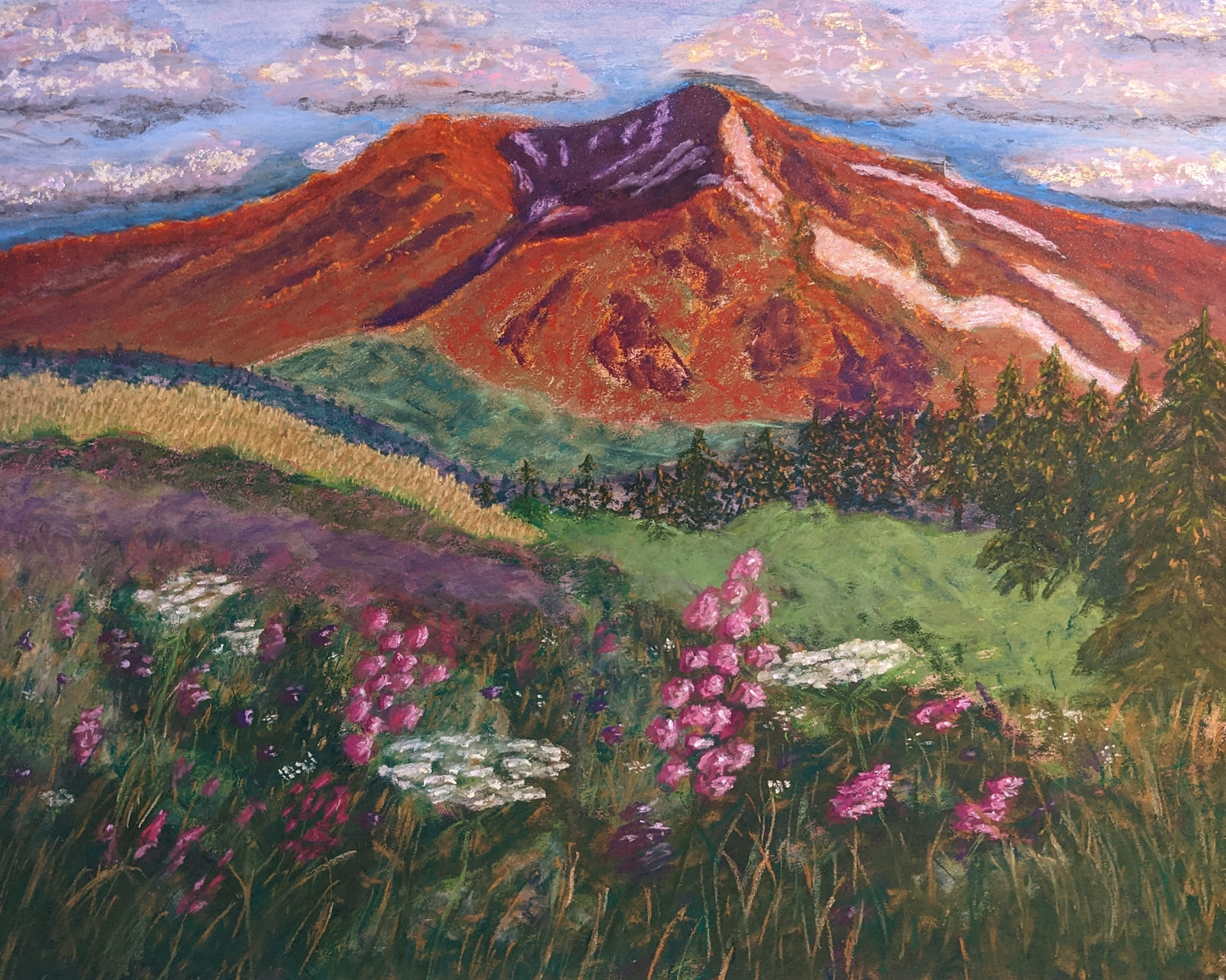 Mount Saint Helens Wildflowers, 28x24"