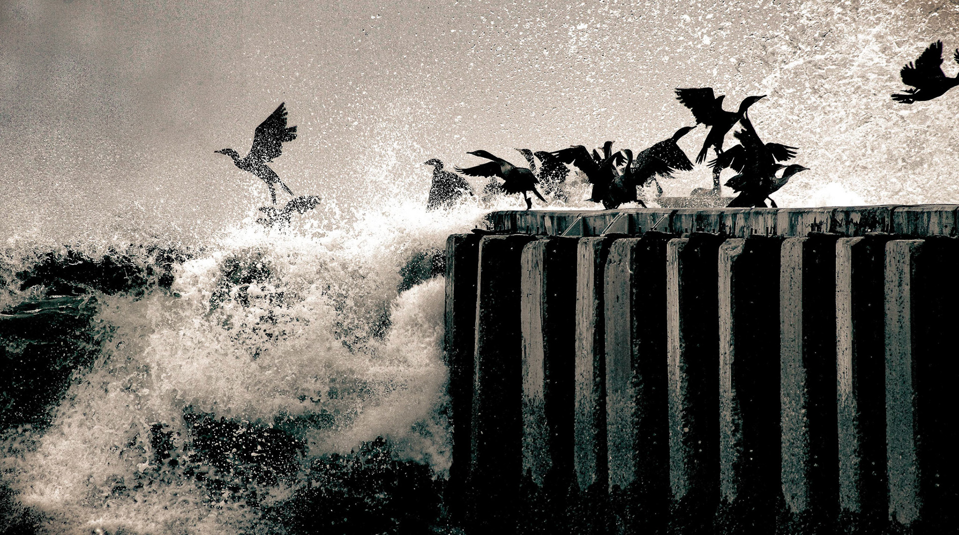 Sandy Welch