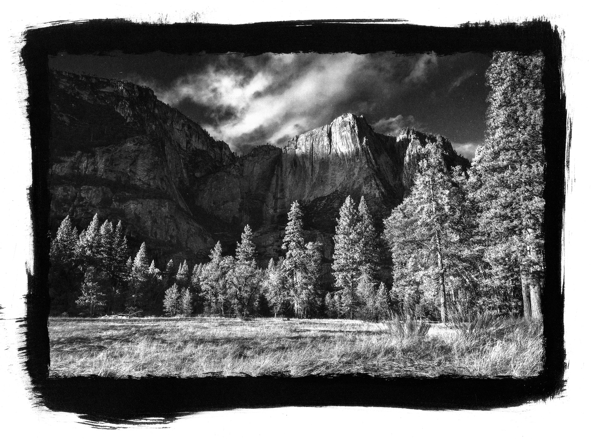 Best Landscape - Virginia Graves