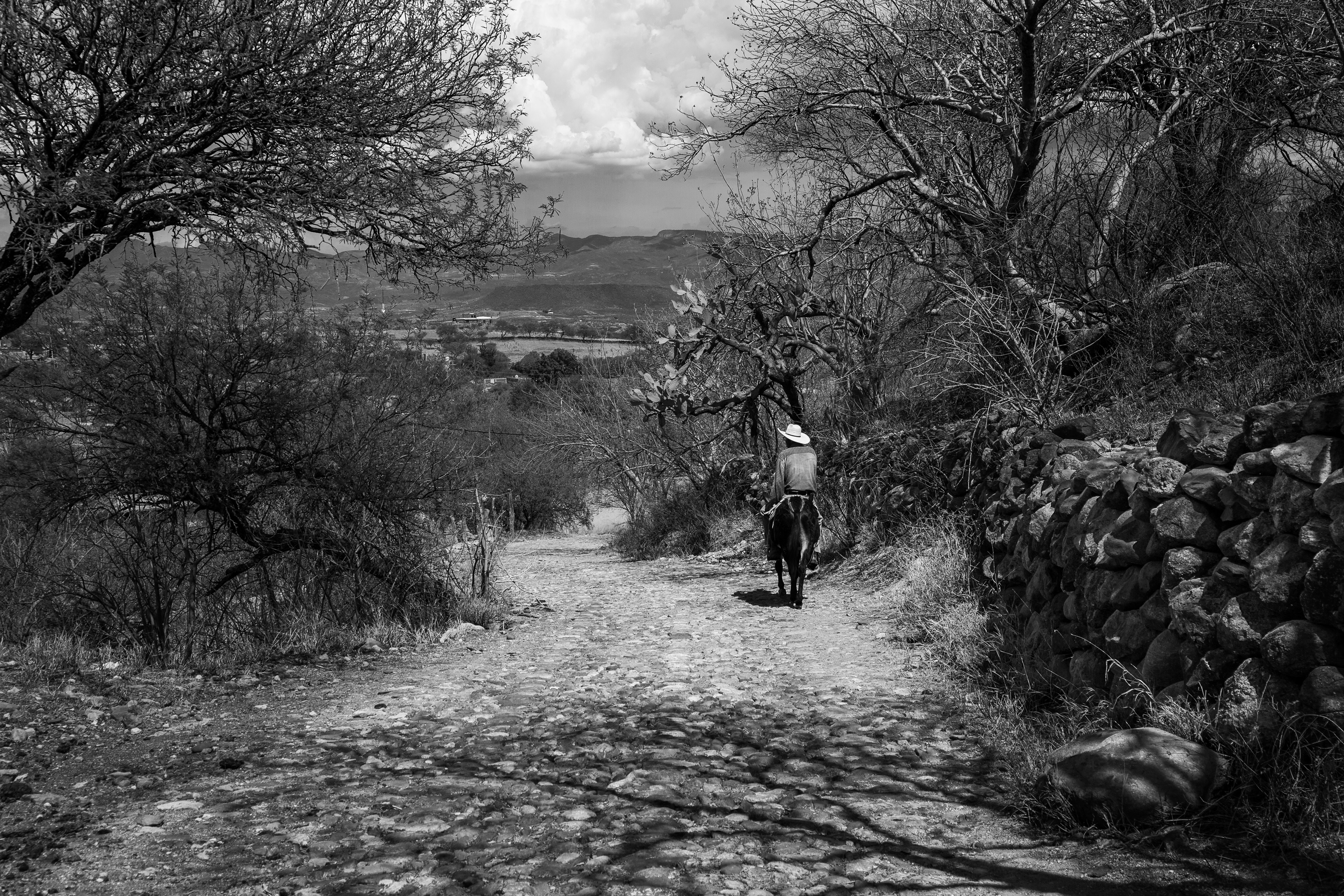 Robert Gonzales - Best Street Photography