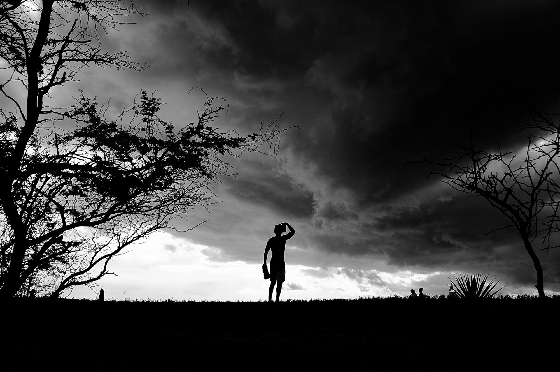 Will Schwartz