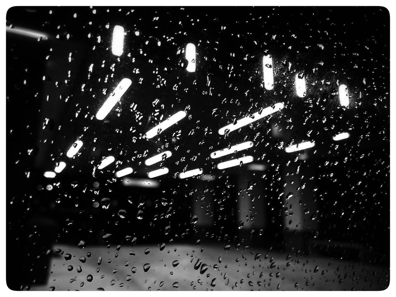 BEST FINE ART: Connor McNeilly, Photo 2