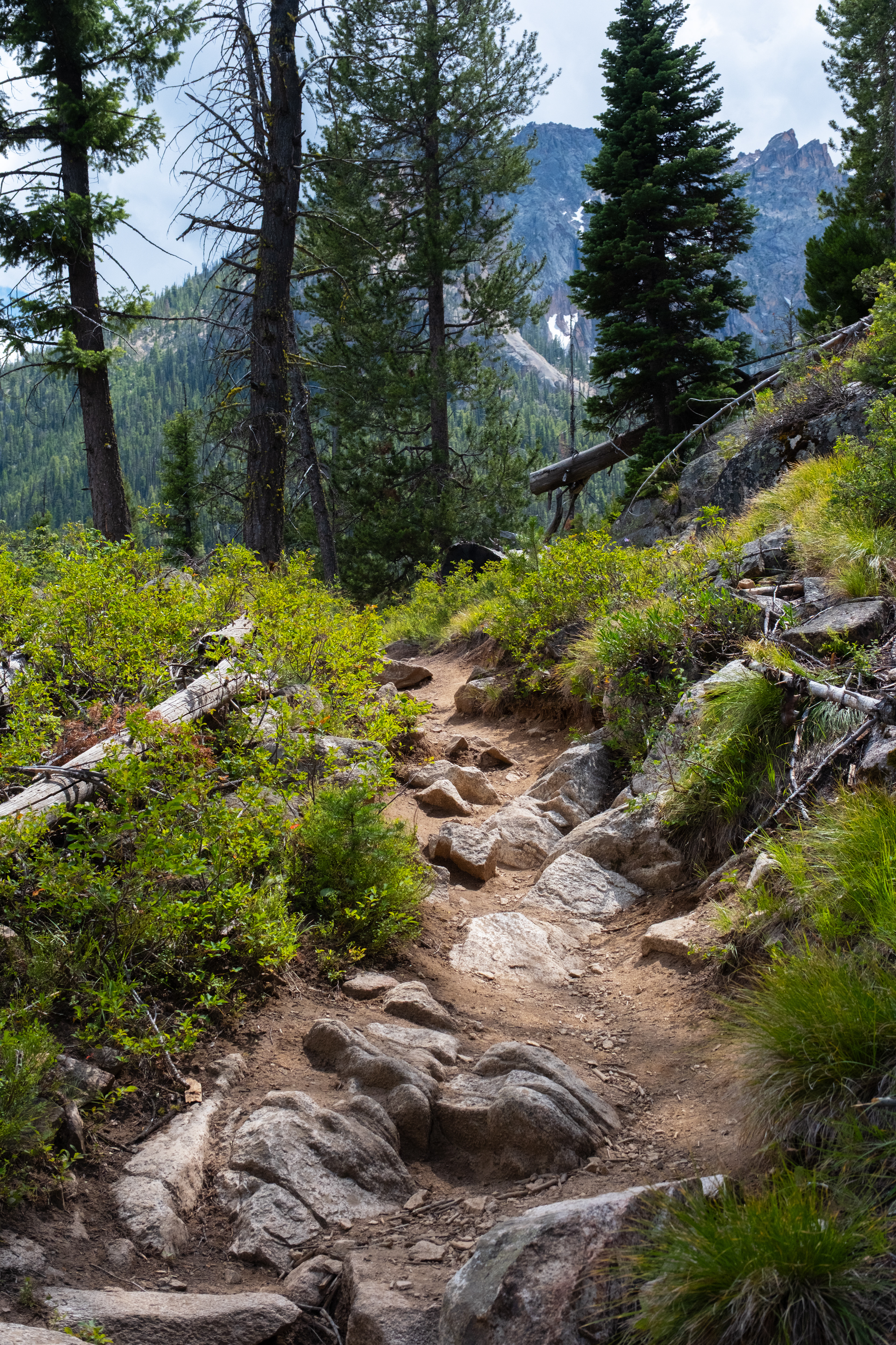 Hiking Trail at Redfish Lake, Stanley, Idaho - July 2026
