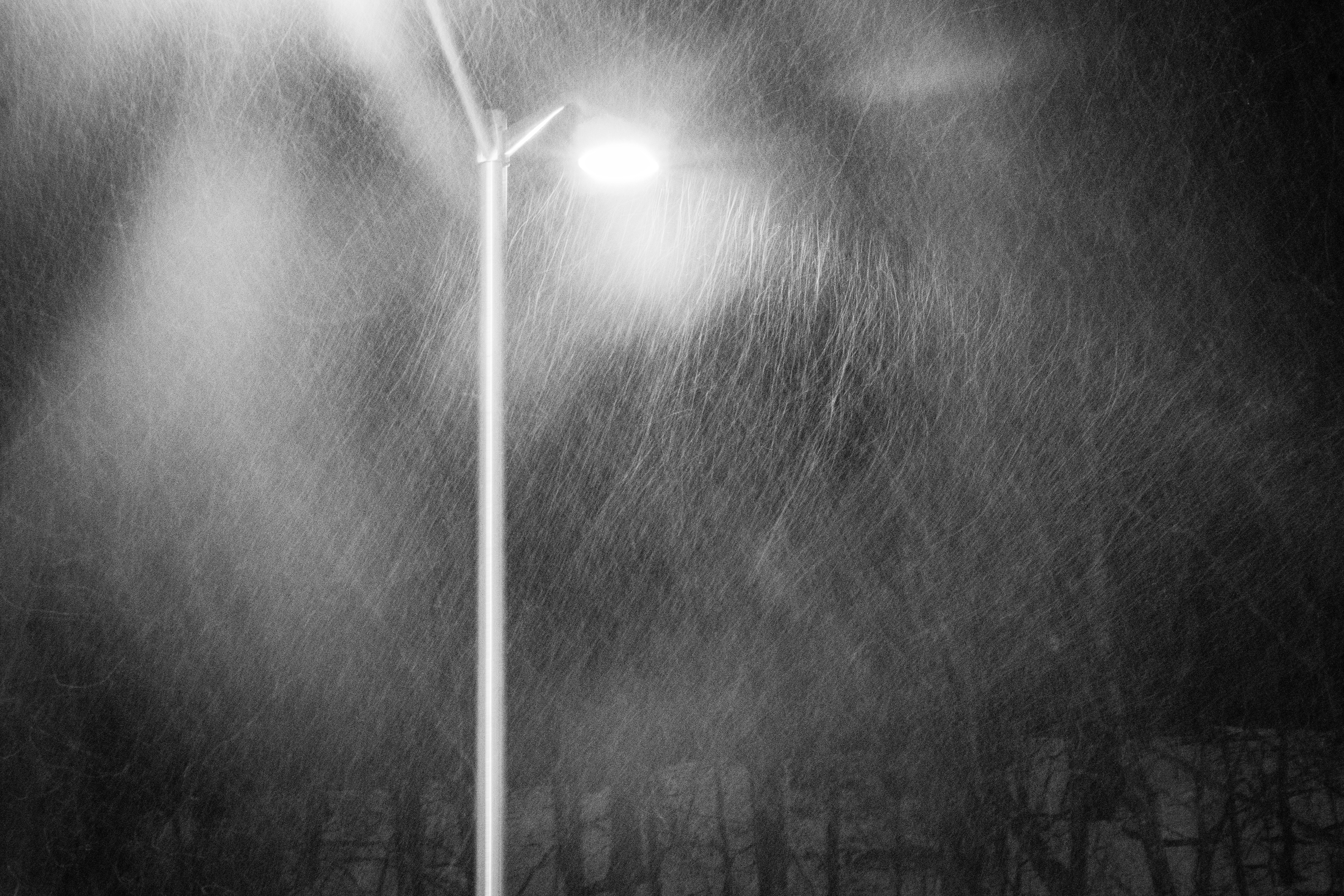 Winter in Motion - February 2025