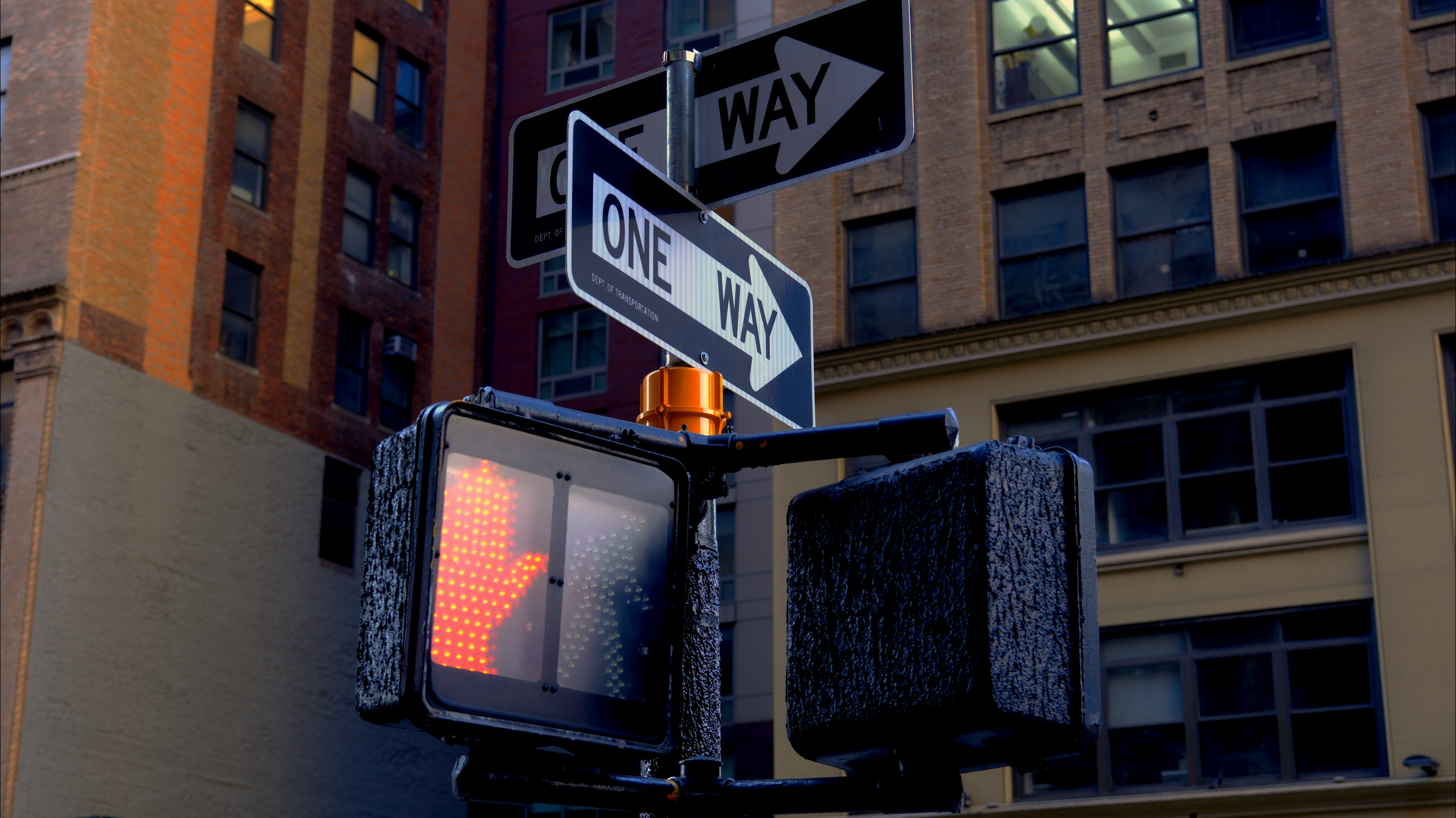 NYC Street Signs - October 2025