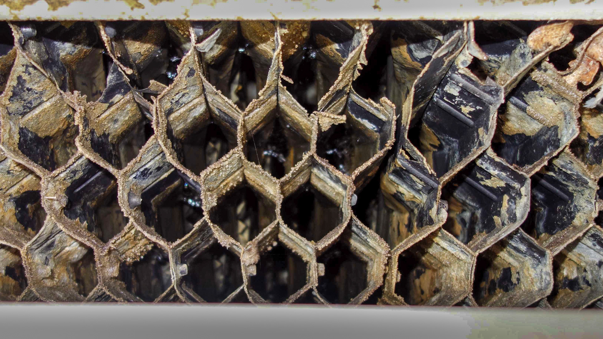 Surface de ruissellement encrassée TAR