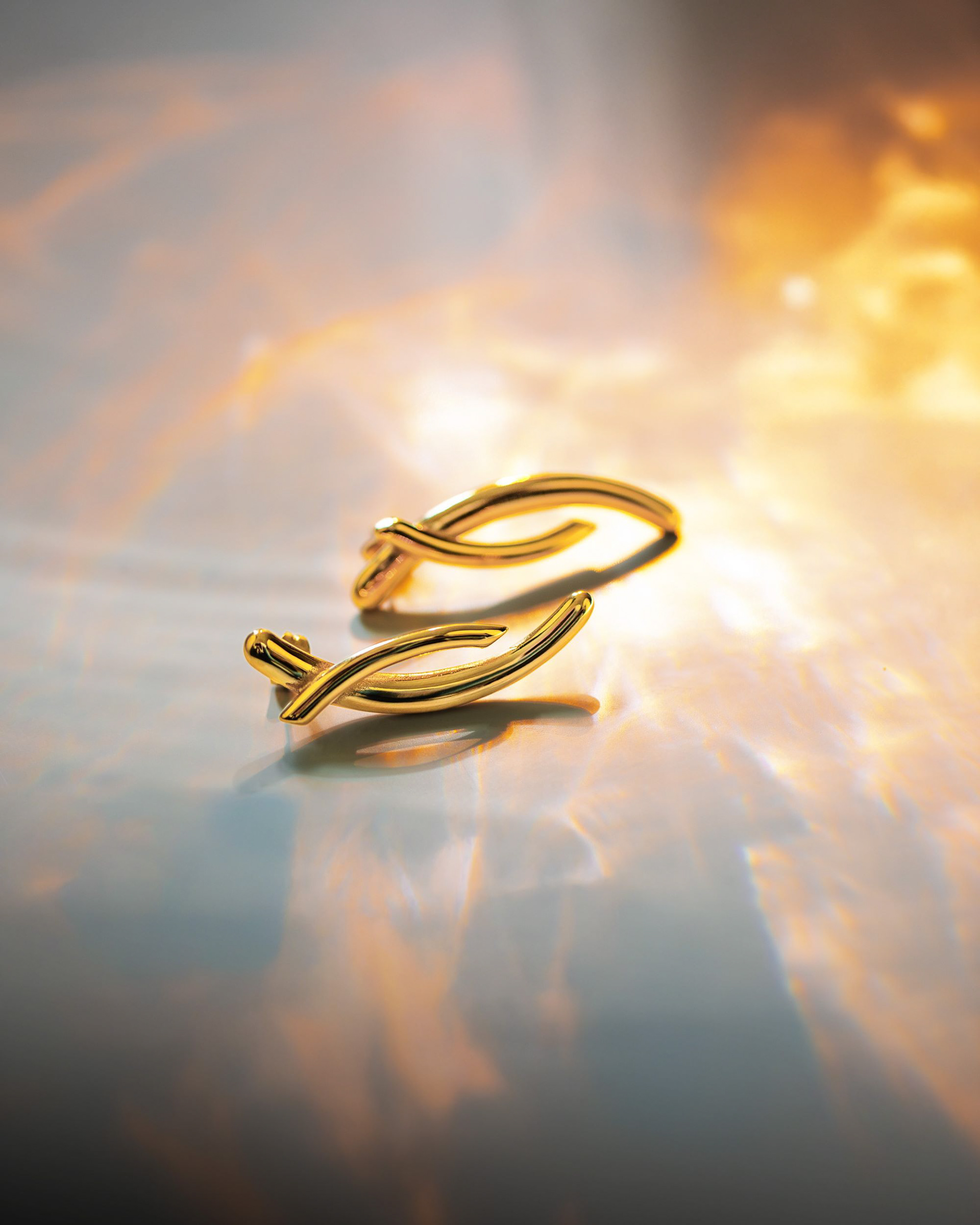 Boucles d'oreilles Apion - ZAG Bijoux