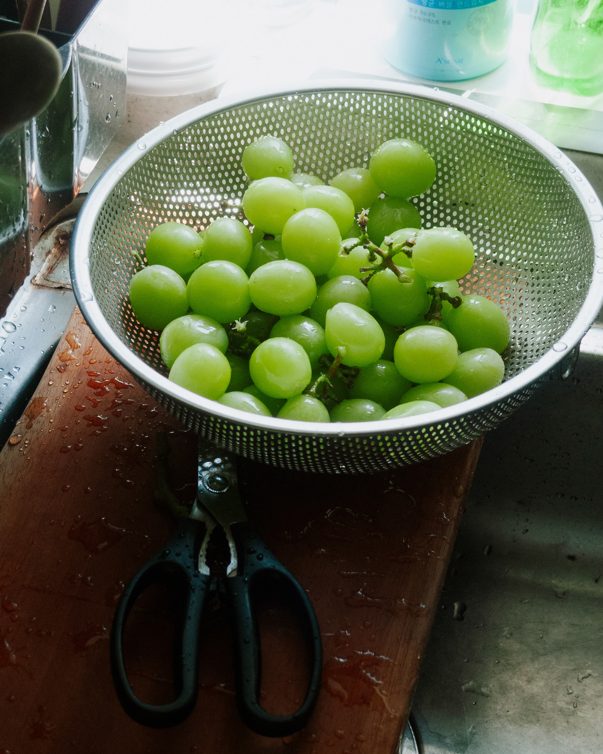 Green grape, Sep. 2023
