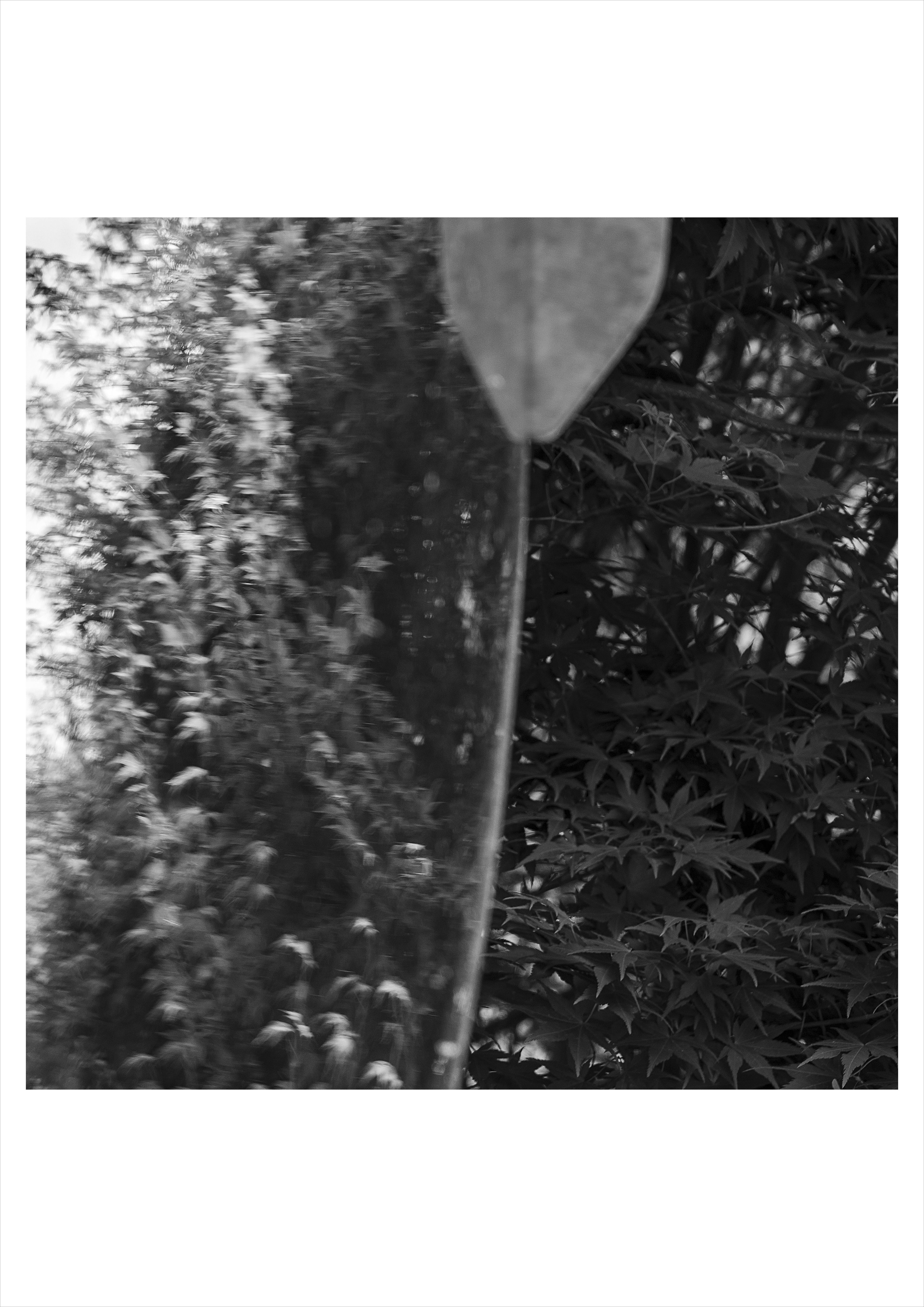 경계, Pigment Print, 420x594mm, 2023)