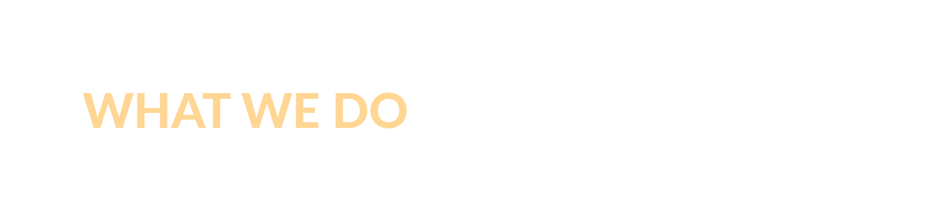 WHAT WE DO: • Wedding Day Coverage • Bridal Portrait • Engagement Session • Wedding Proposal