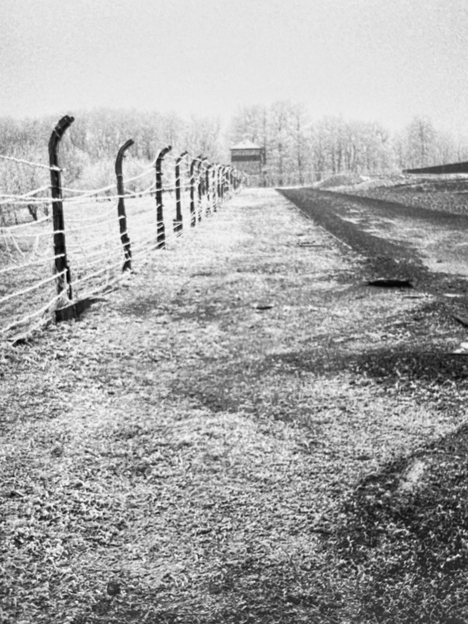 REMEMBER: Images of the Holocaust, Gelatin silver print