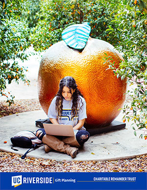 obscure orange, 2006, Fiberglass, automotive paint, University of California Riverside CHASS