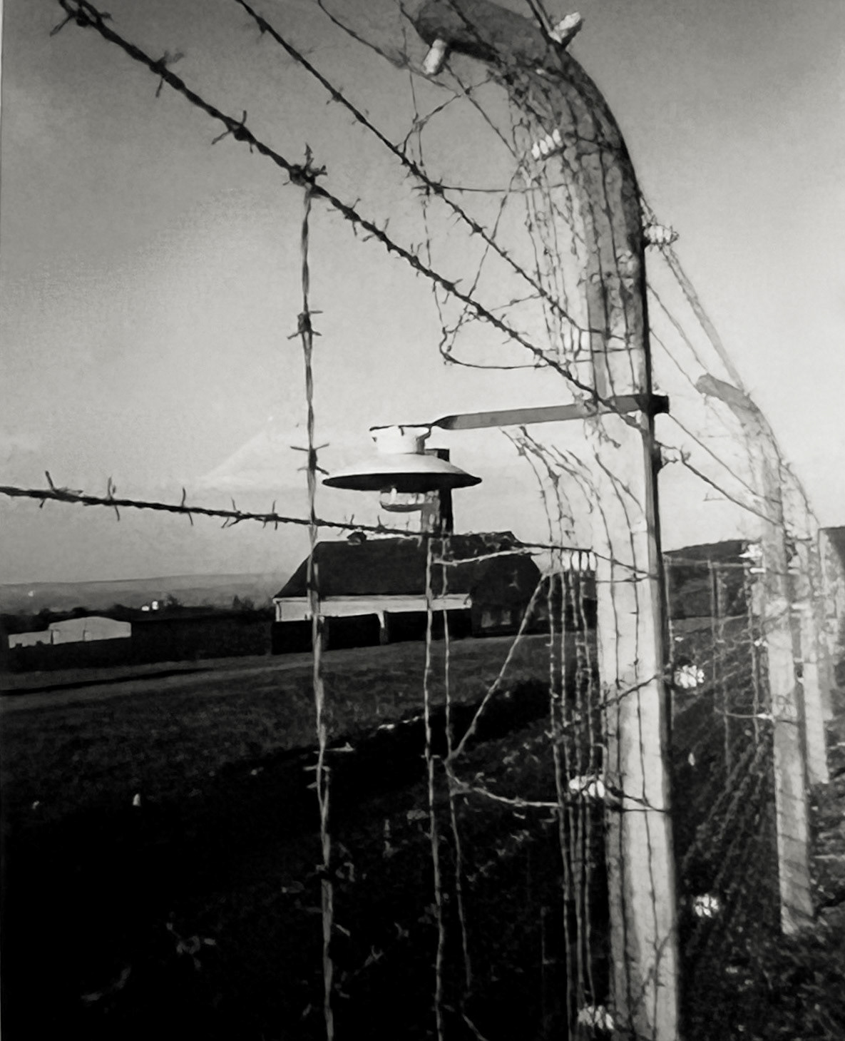 REMEMBER: Images of the Holocaust, Gelatin silver print