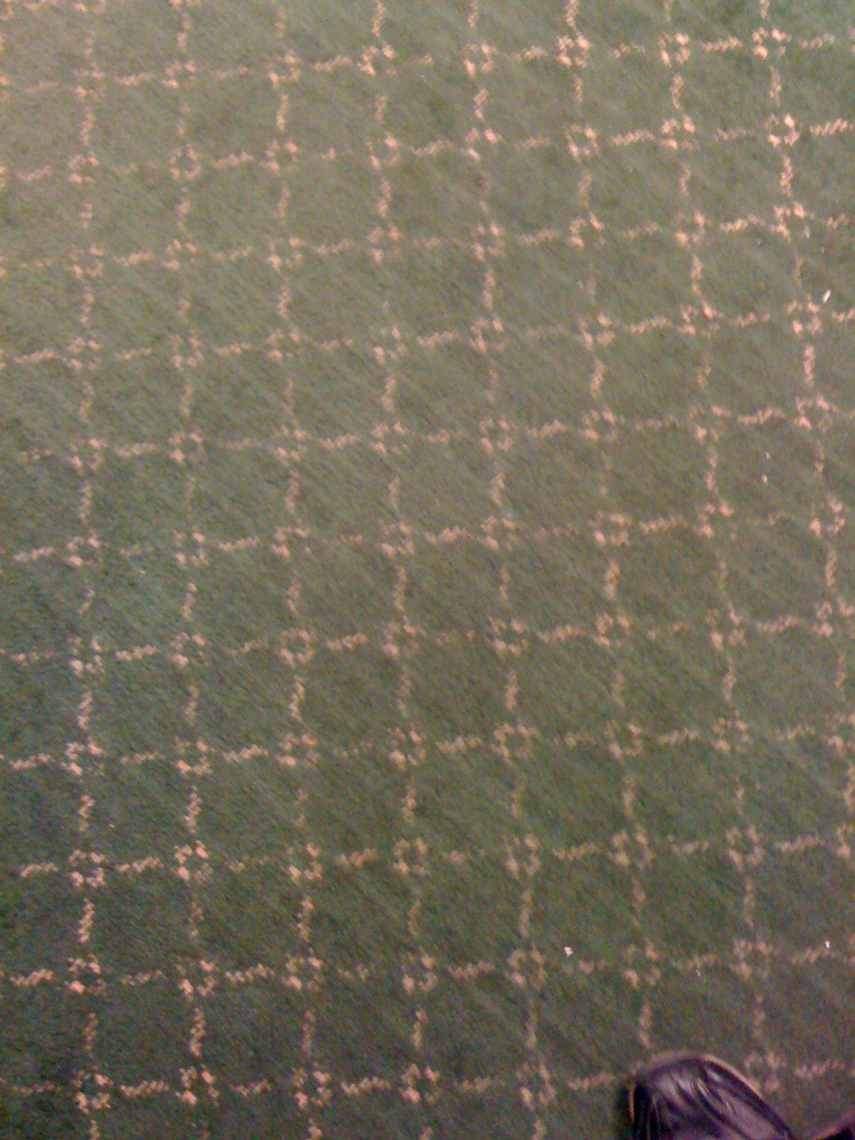 Tagged location: Marriott Hotel, Riverside CA