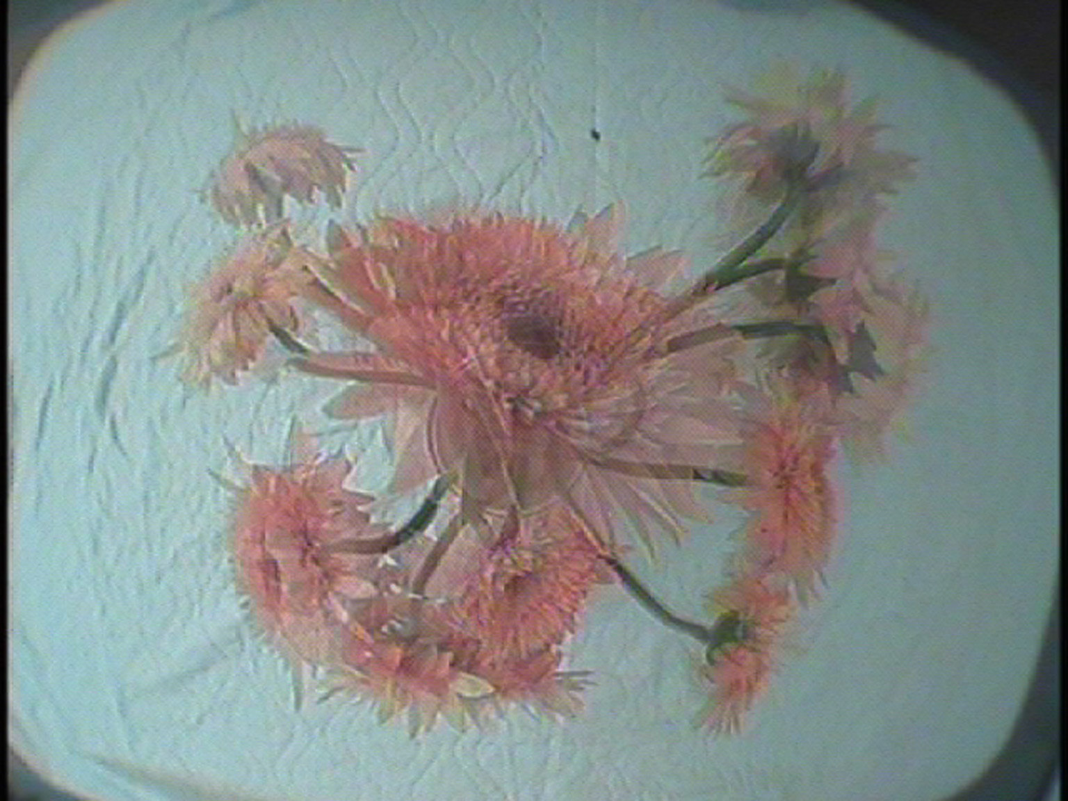 vase - study 3, video Still. Georg Burwck 2005