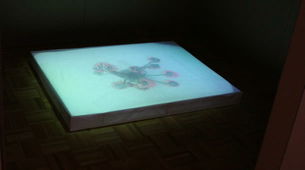vase - study 3, Installation at Brandstater Gallery. Georg Burwck 2005