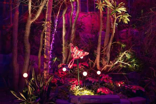 Photo by Cleveland Botanical Garden