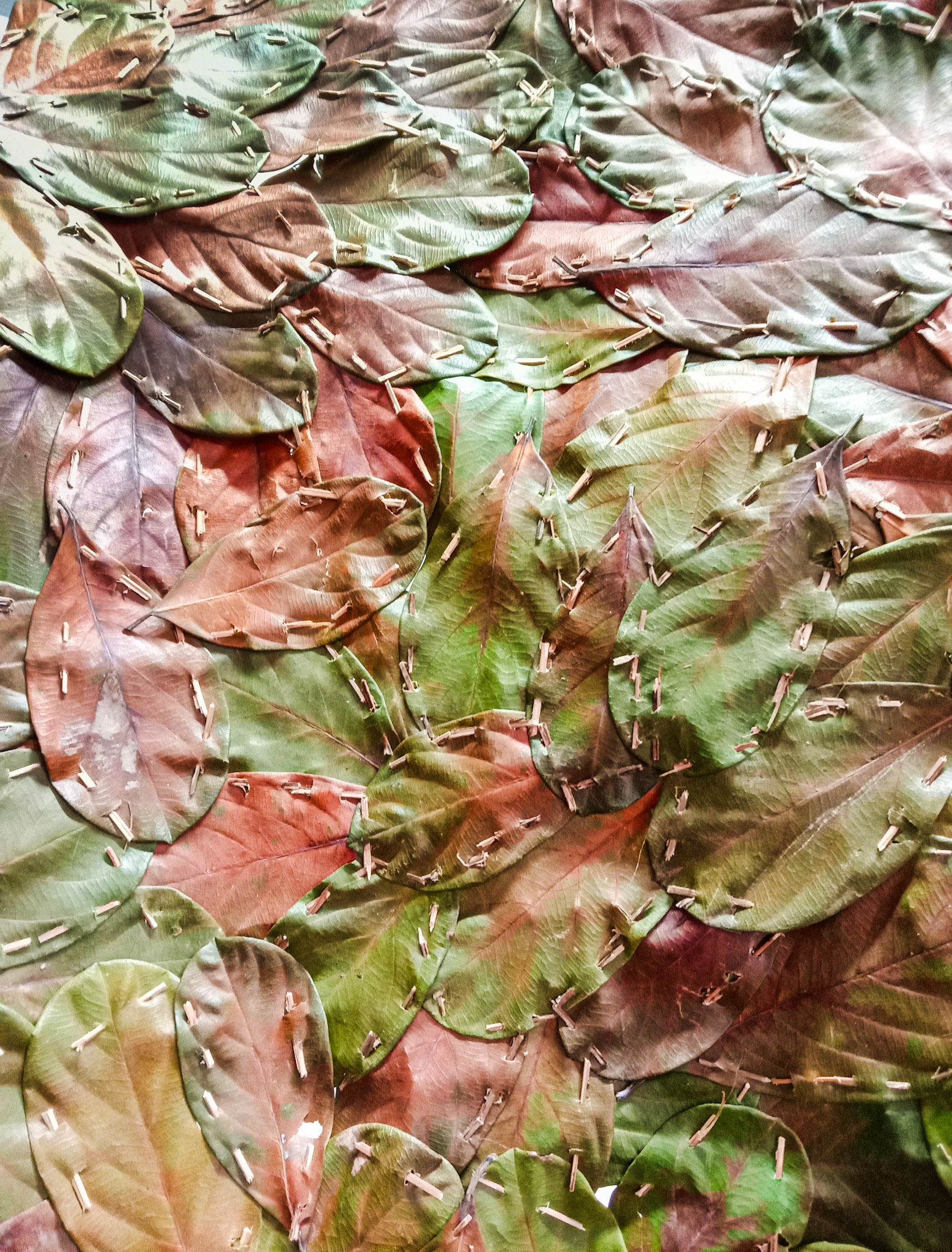 Sail detail